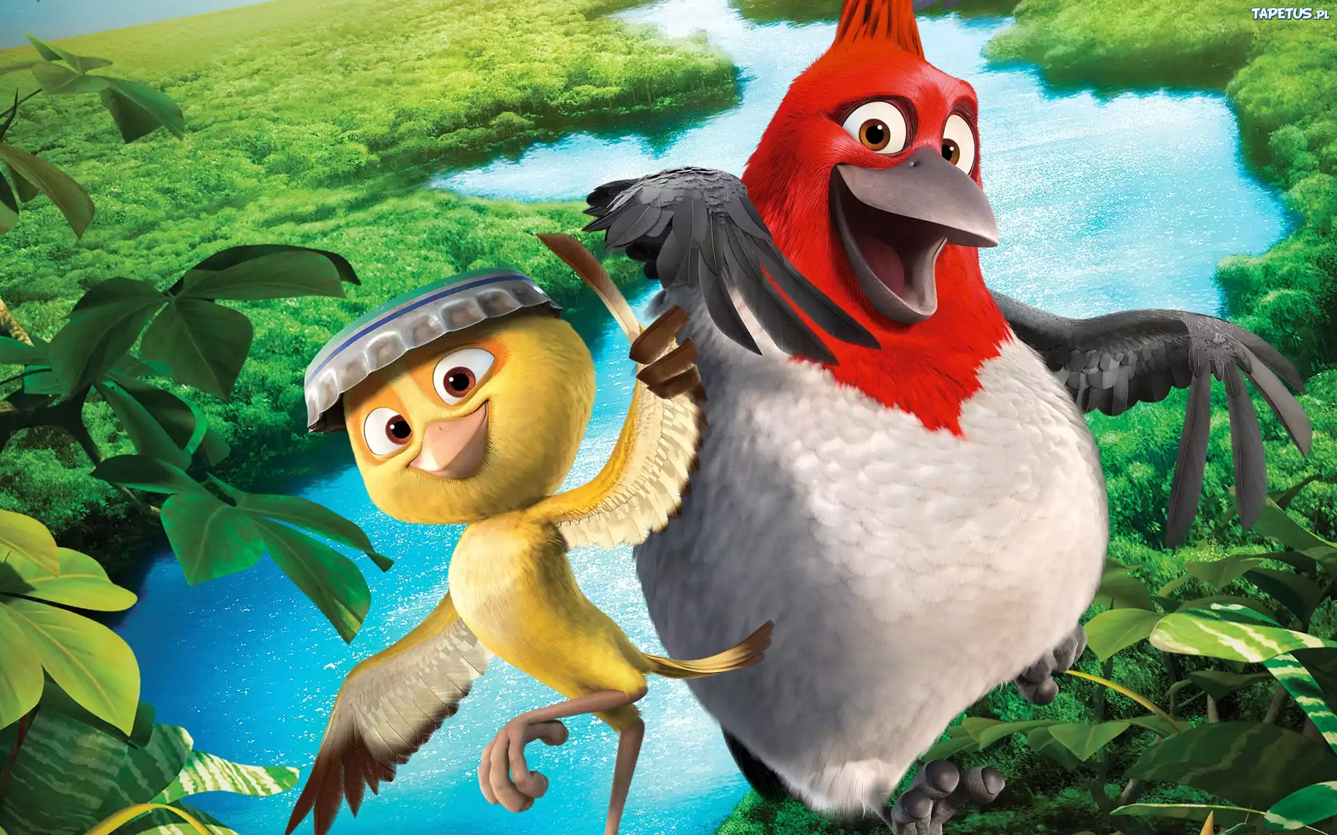 Kurczaki, Film< Animowany, Rio 2