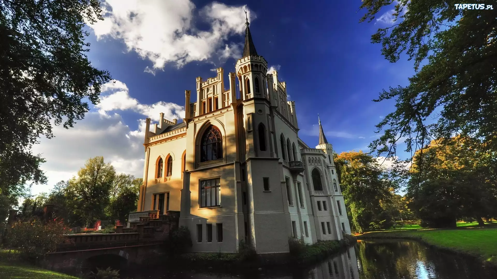 Zamek, Architektura, Fosa, Drzewa
