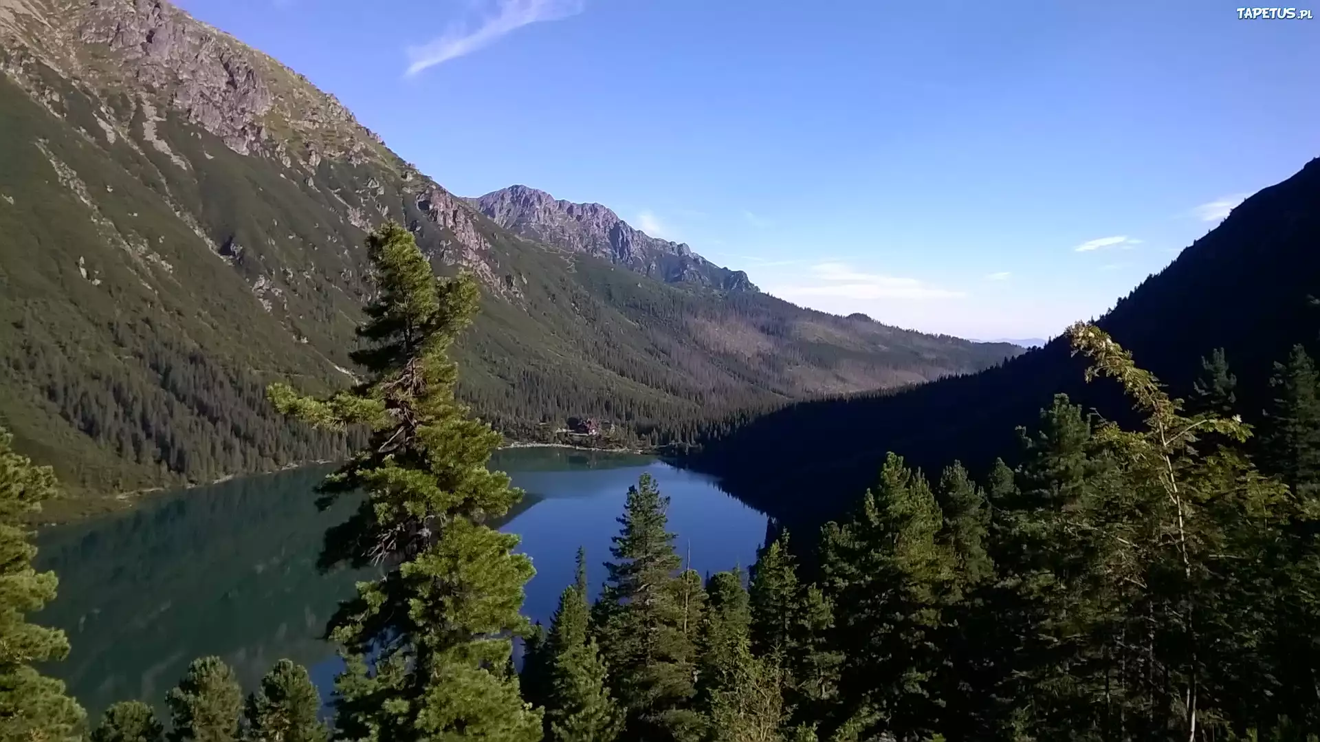 Tatry, Jezioro, Góry, Drzewa, Morskie, Oko