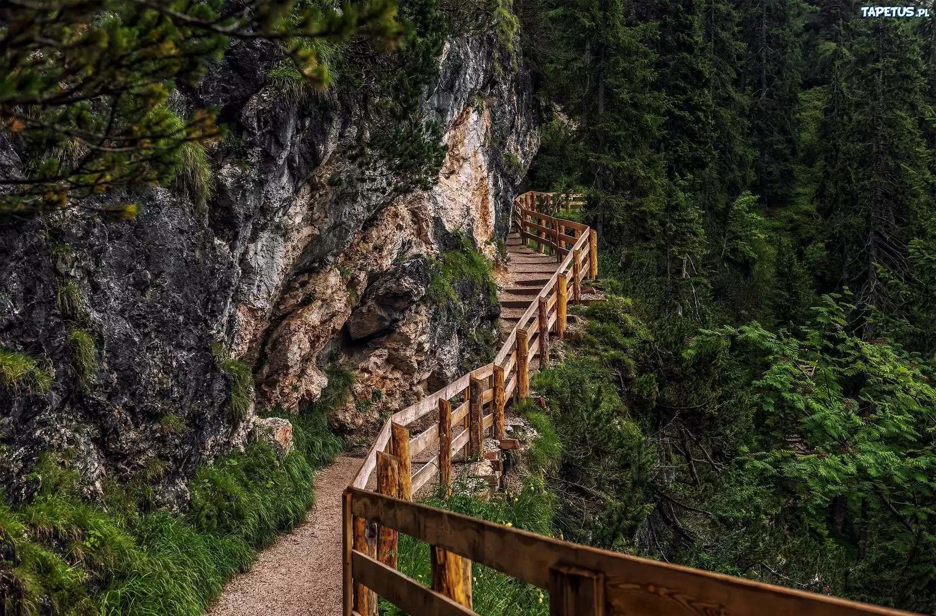Góry, Drzewa, Szlak, Turystyczny