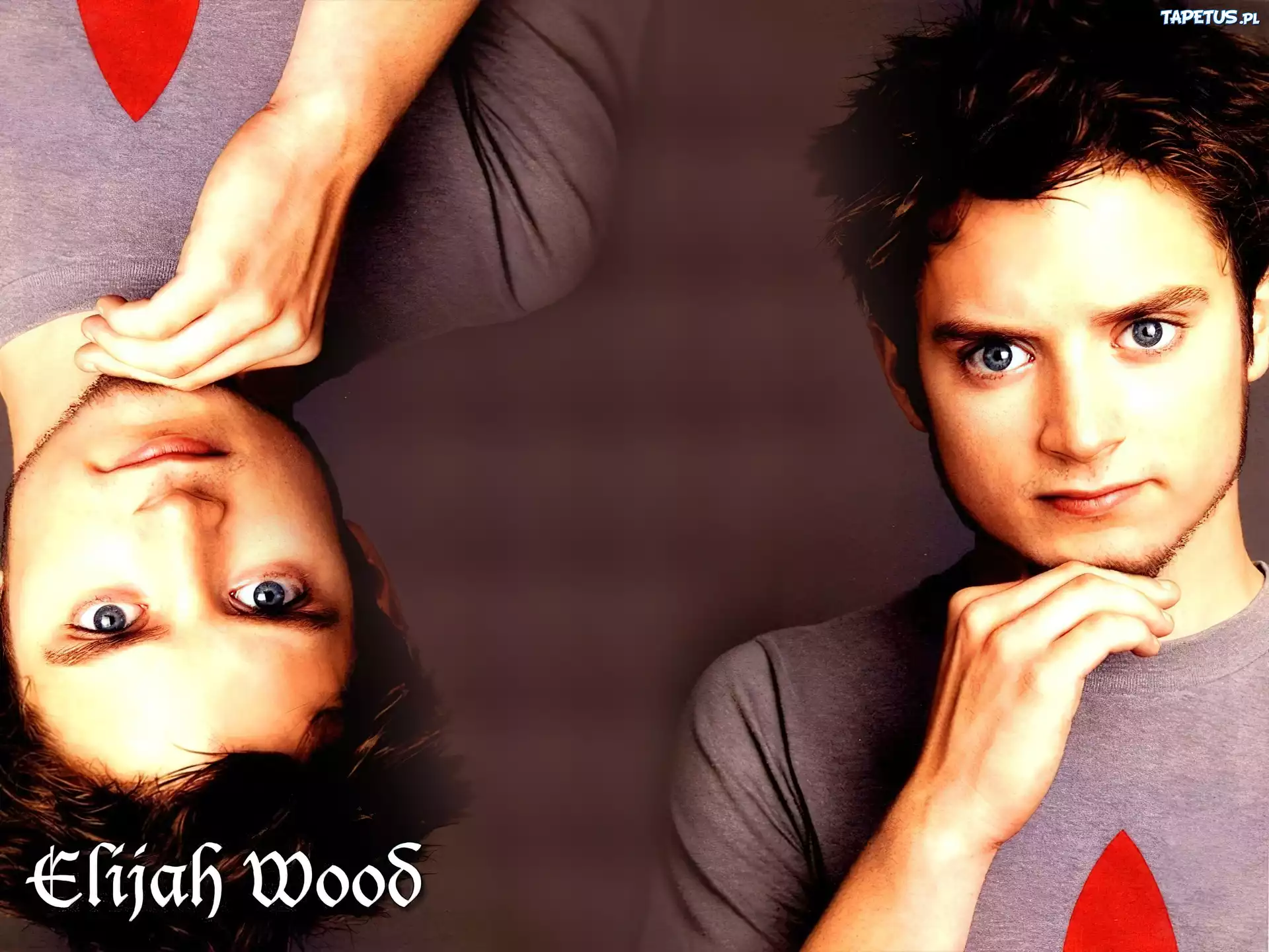 Elijah Wood,niebieskie oczy, ręka
