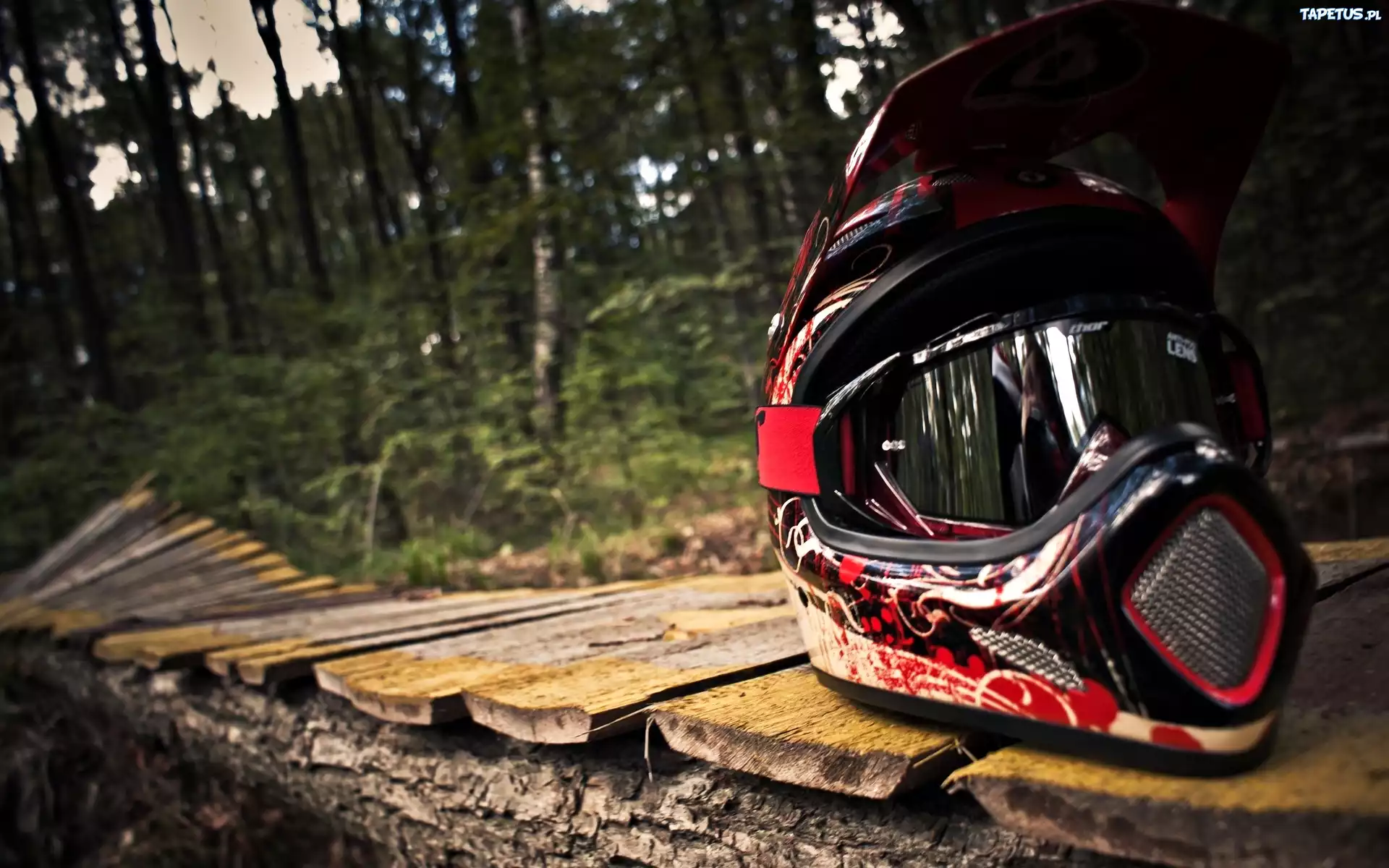 Las, Kładka, Czerwony, Kask, Motocyklowy