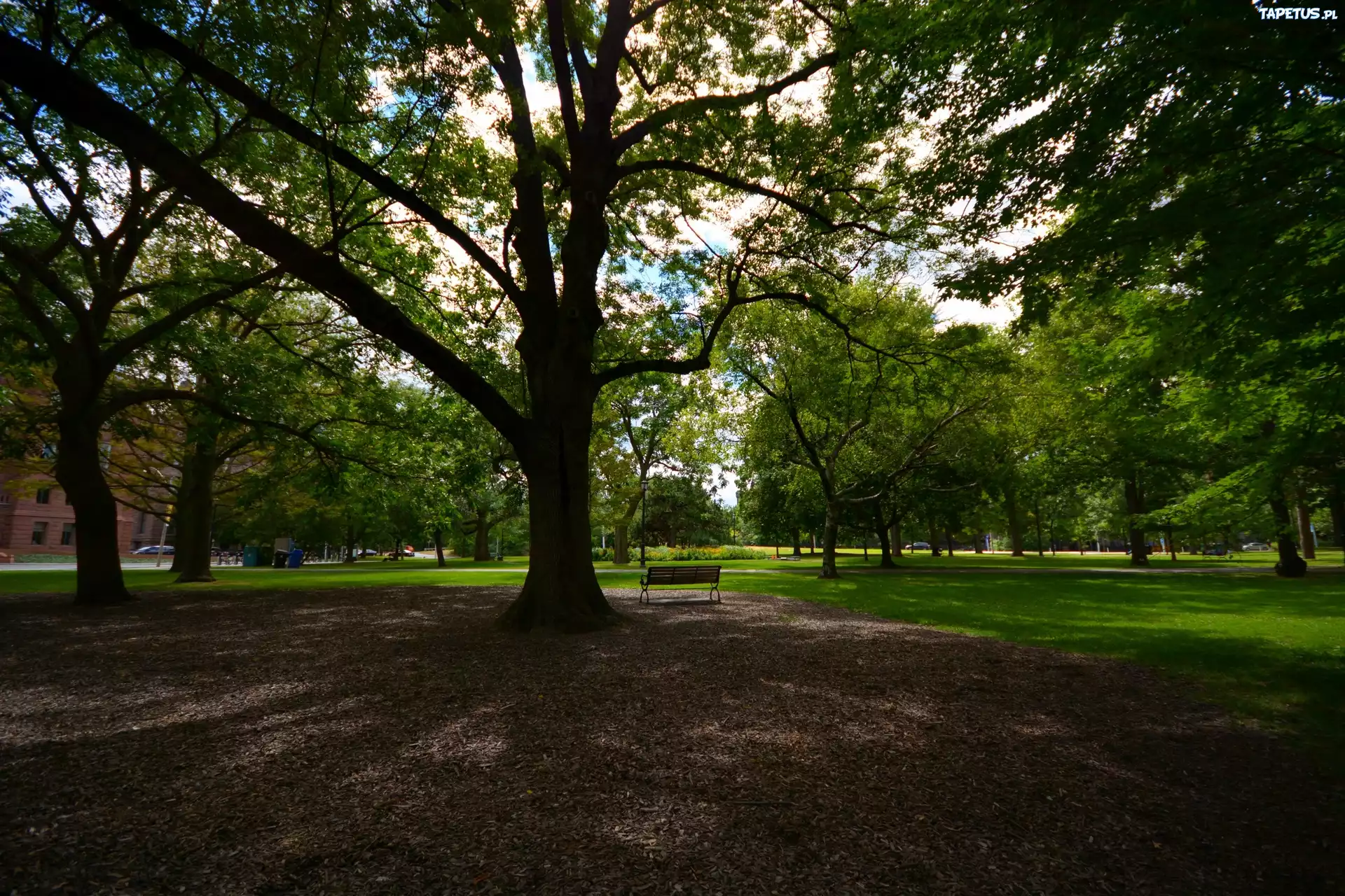 Queens park, Toronto