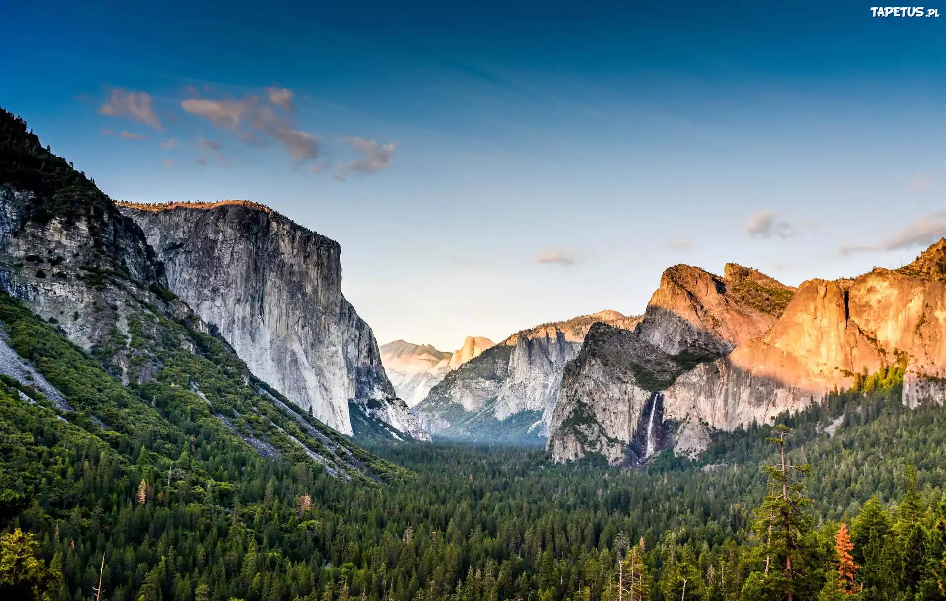 Góry, Lasy, Kalifornia