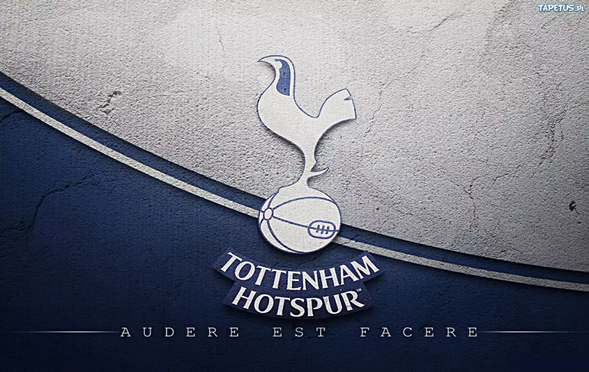 Tottenham Hotspur, piłka nożna, sport