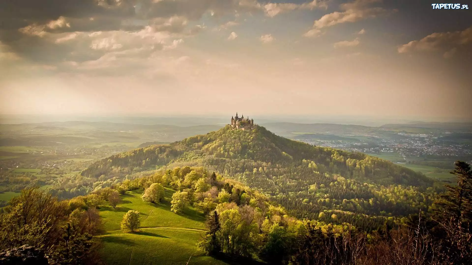 Zamek, Góra, Las
