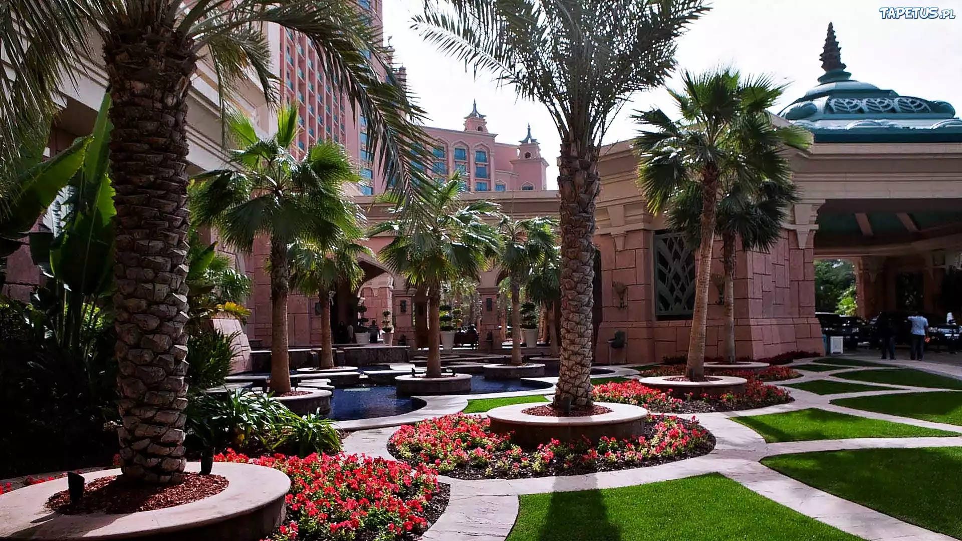 Hotel, Atlantis, Palmy, Dubaj