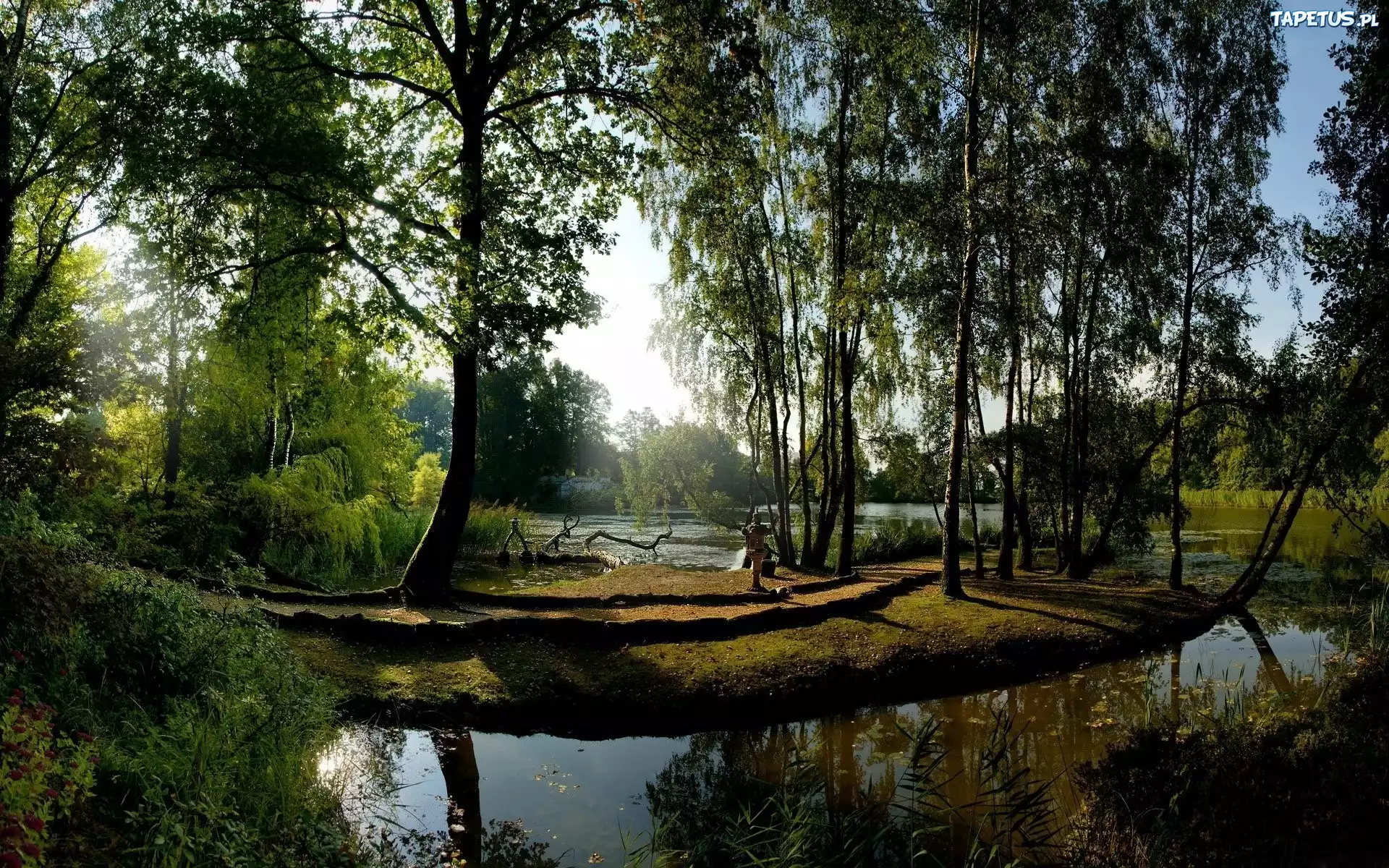 Jeziorko, Park