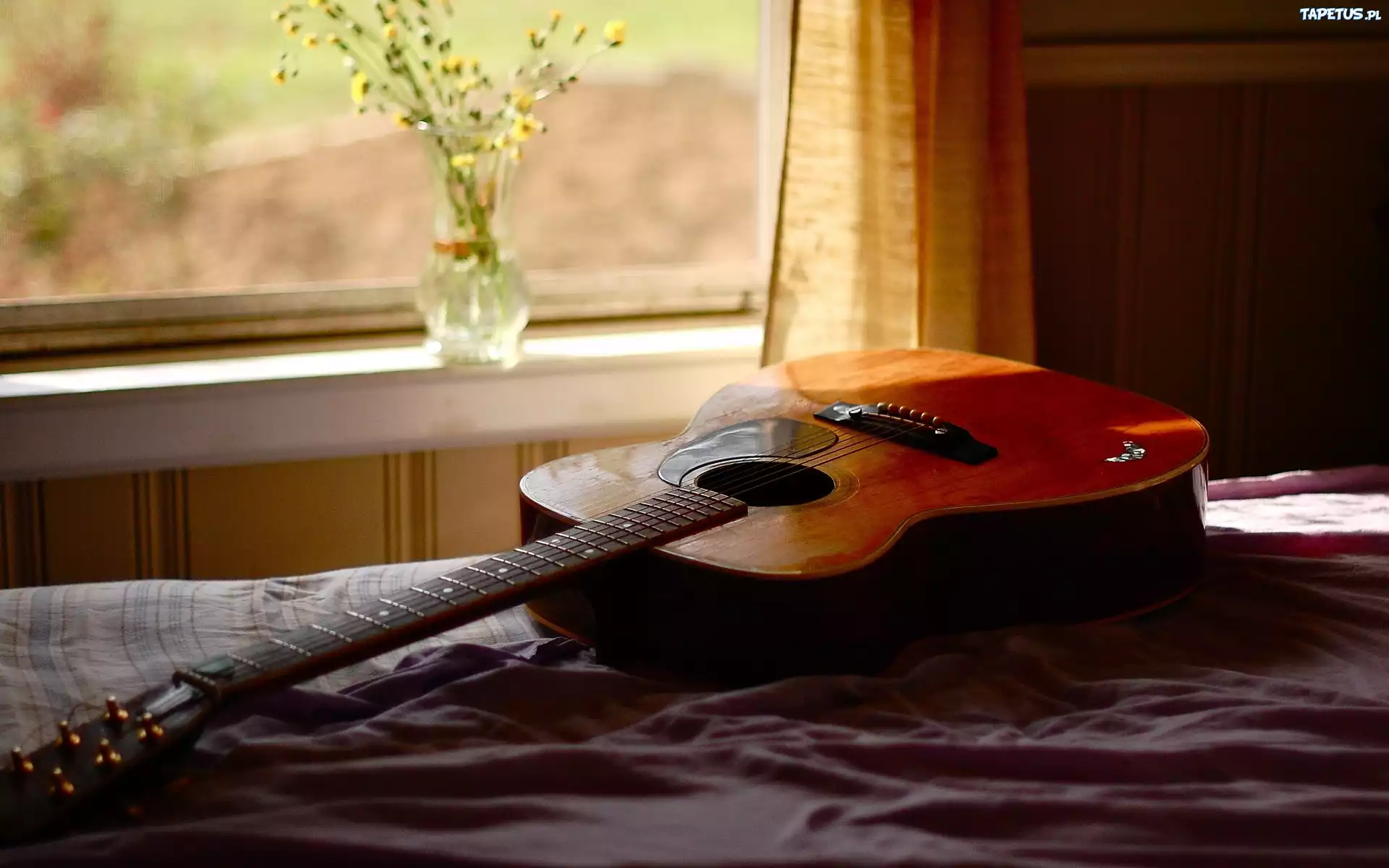 Gitara, Okno