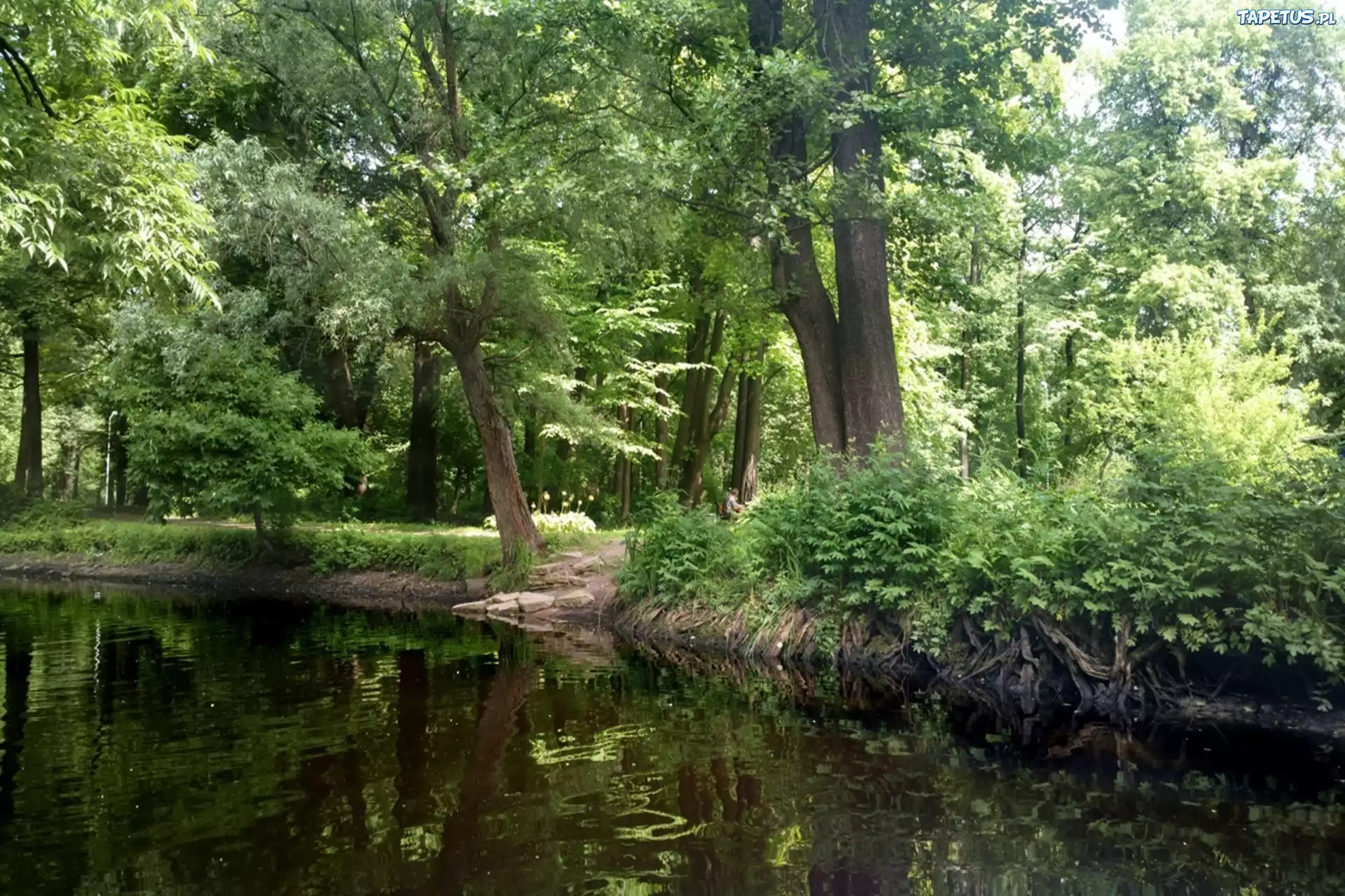 Jezioro, Sankt Petersburg