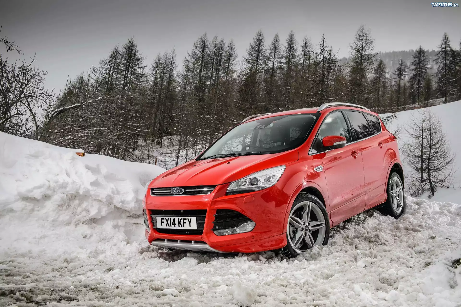 Ford Kuga, Śnieg