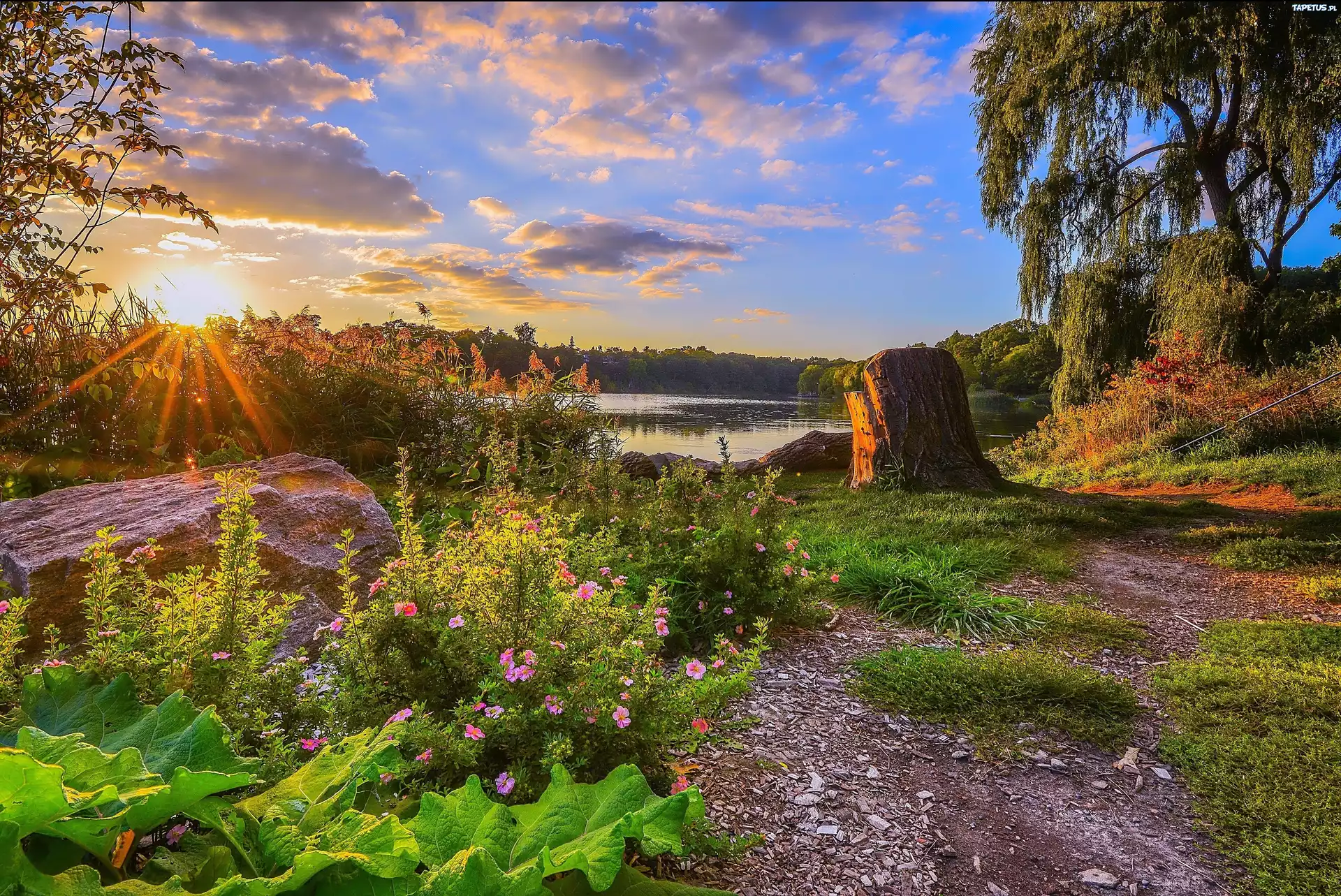 Пейзаж красоты. Красивые летние пейзажи. Природа летом. Живописная природа. Пейзаж лета.