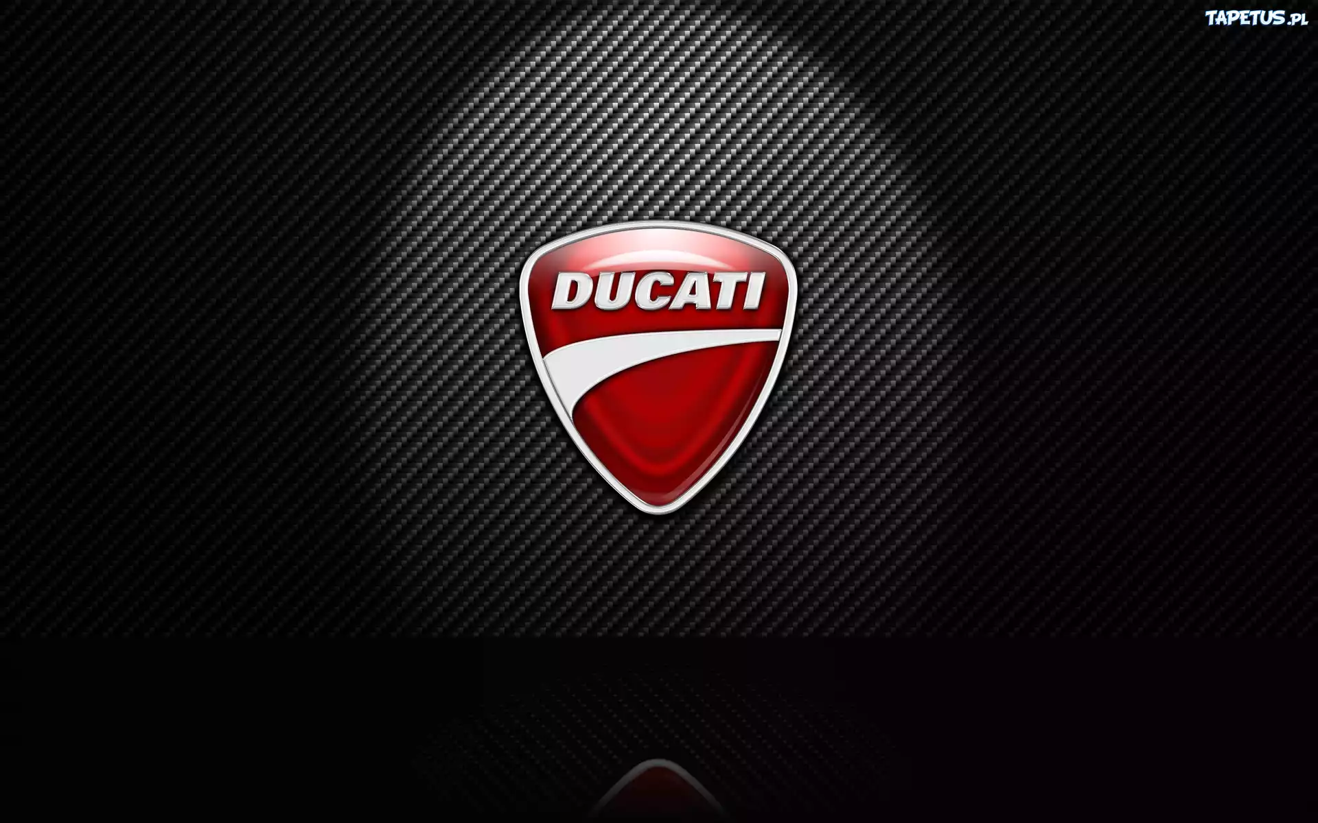 Ducati, Logo, Carbon