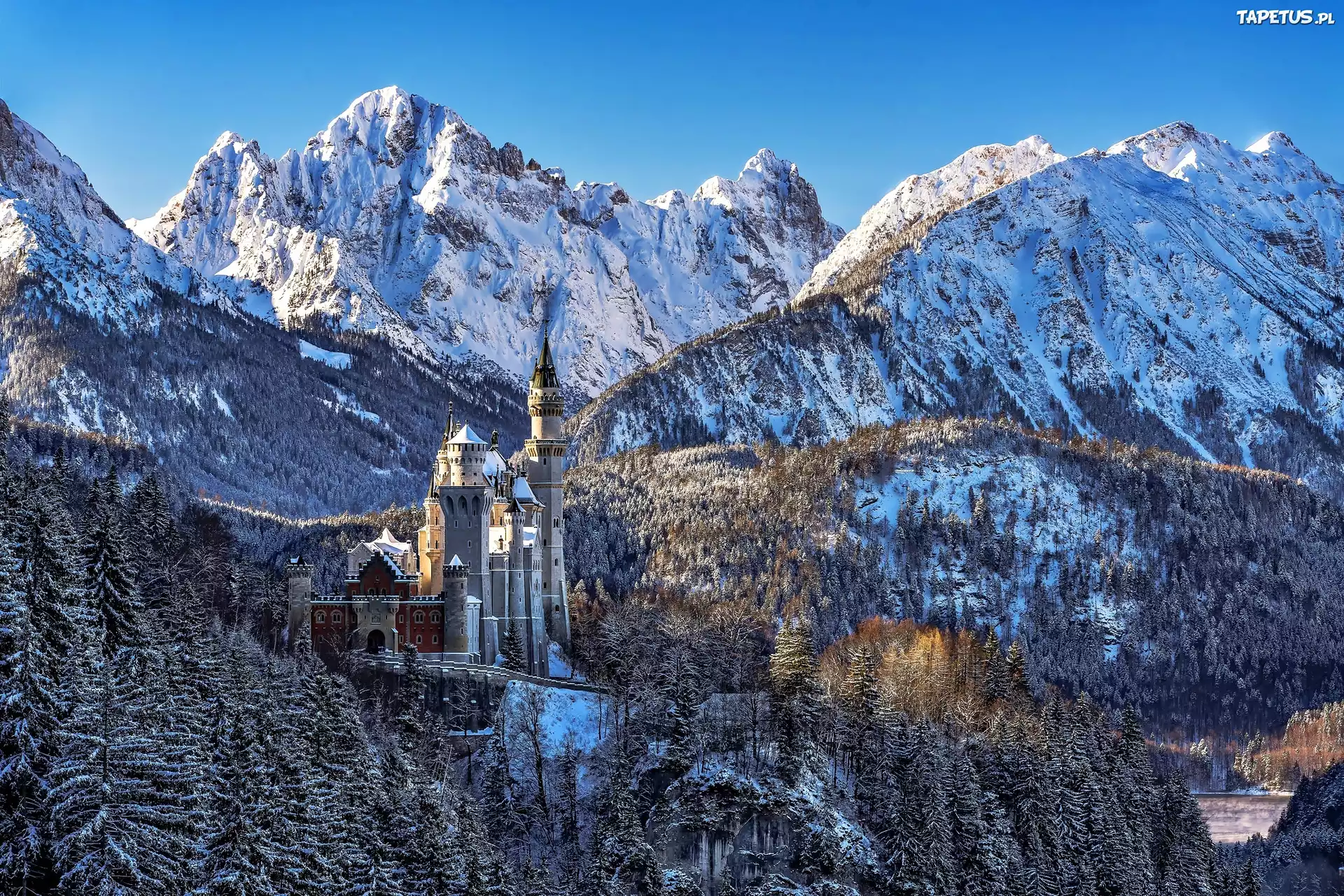 Zamek, Neuschwanstein, Zima, Góry, Bawaria