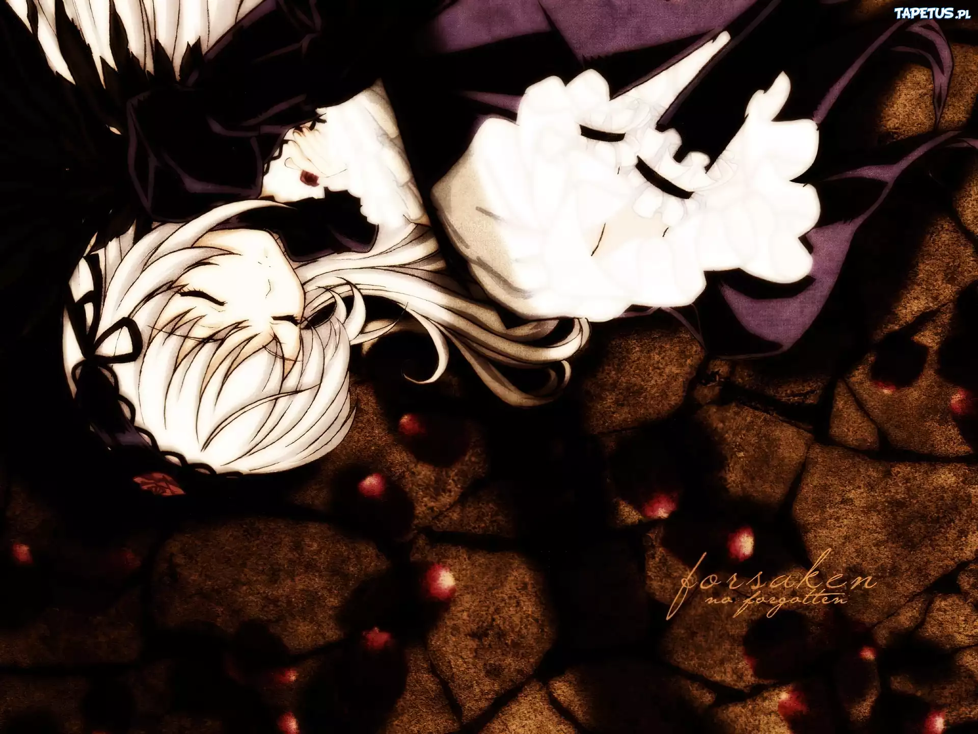 Rozen Maiden, kobieta, sen