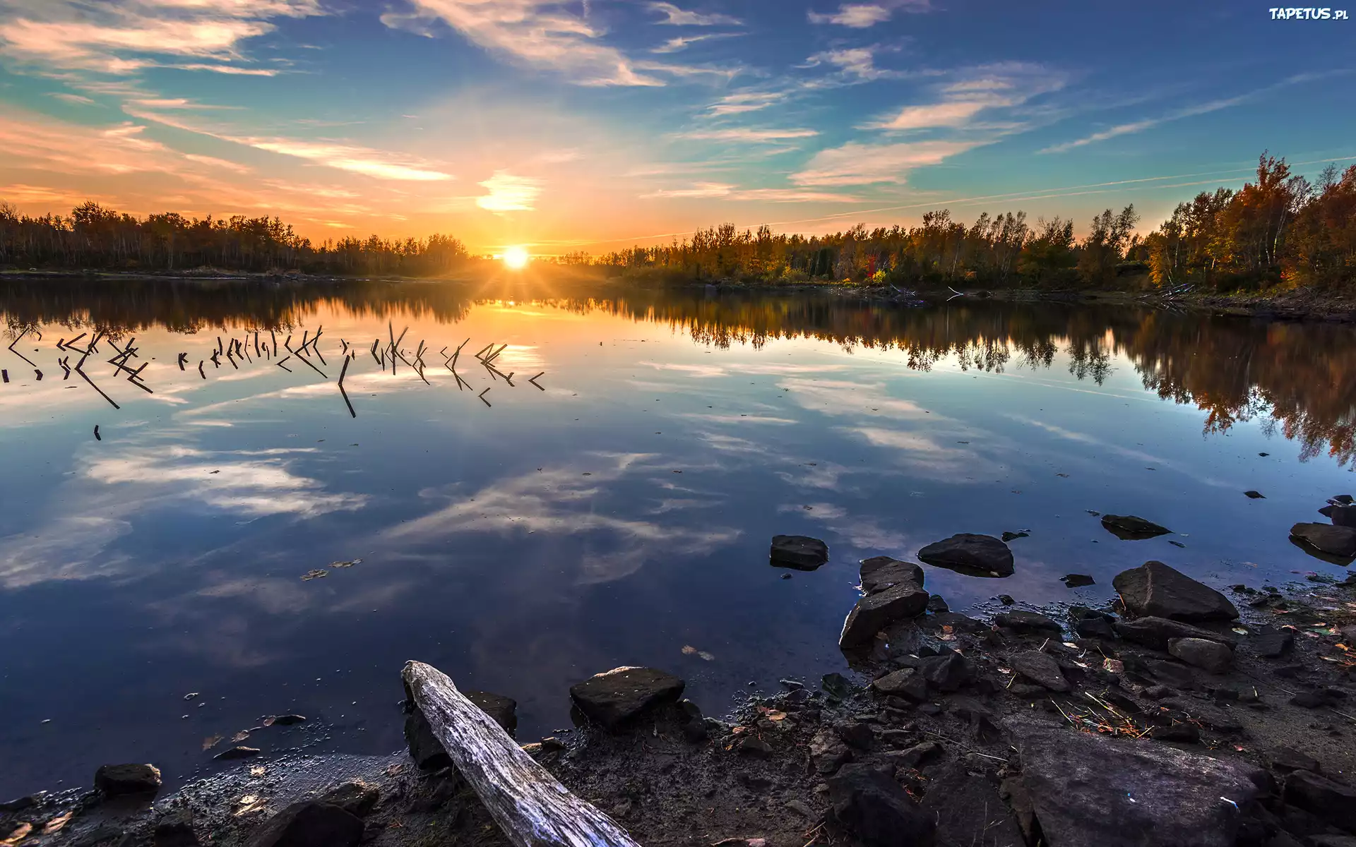 Jezioro, Las, Zachód słońca