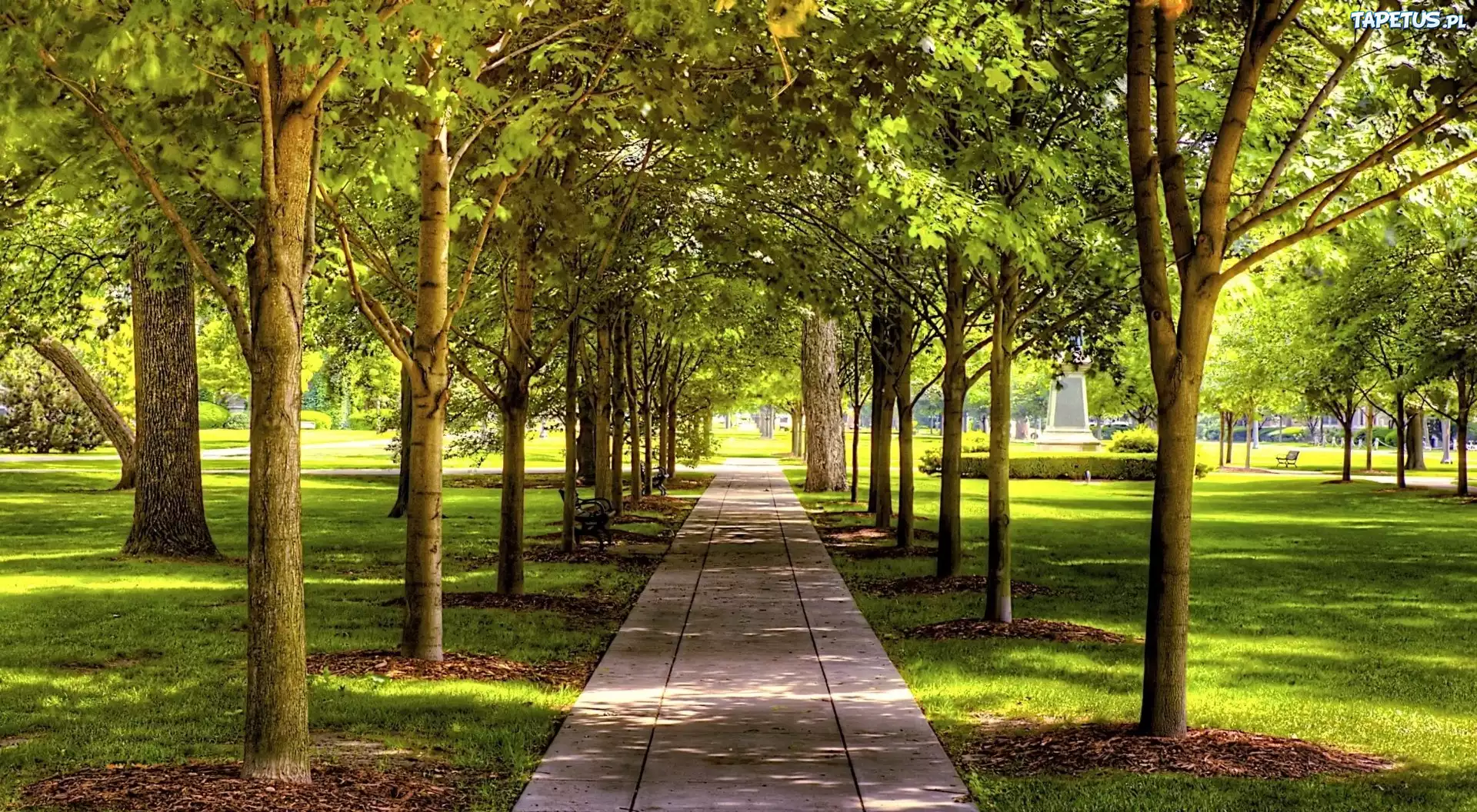 Park, Chodnik