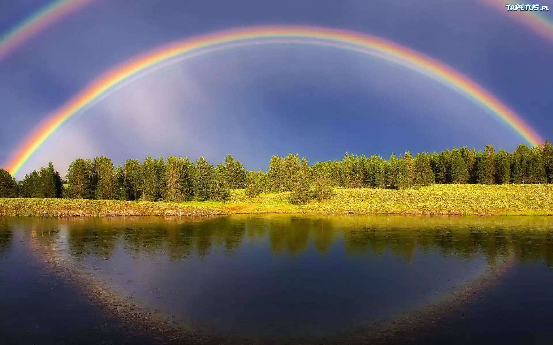 Jezioro, Las, Podwójna, Tęcza, Odbicie