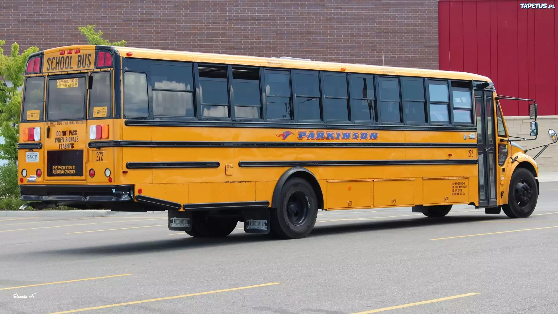 Autobus, Szkolny, Pomarańczowy, Kolor, Ulica, Parking