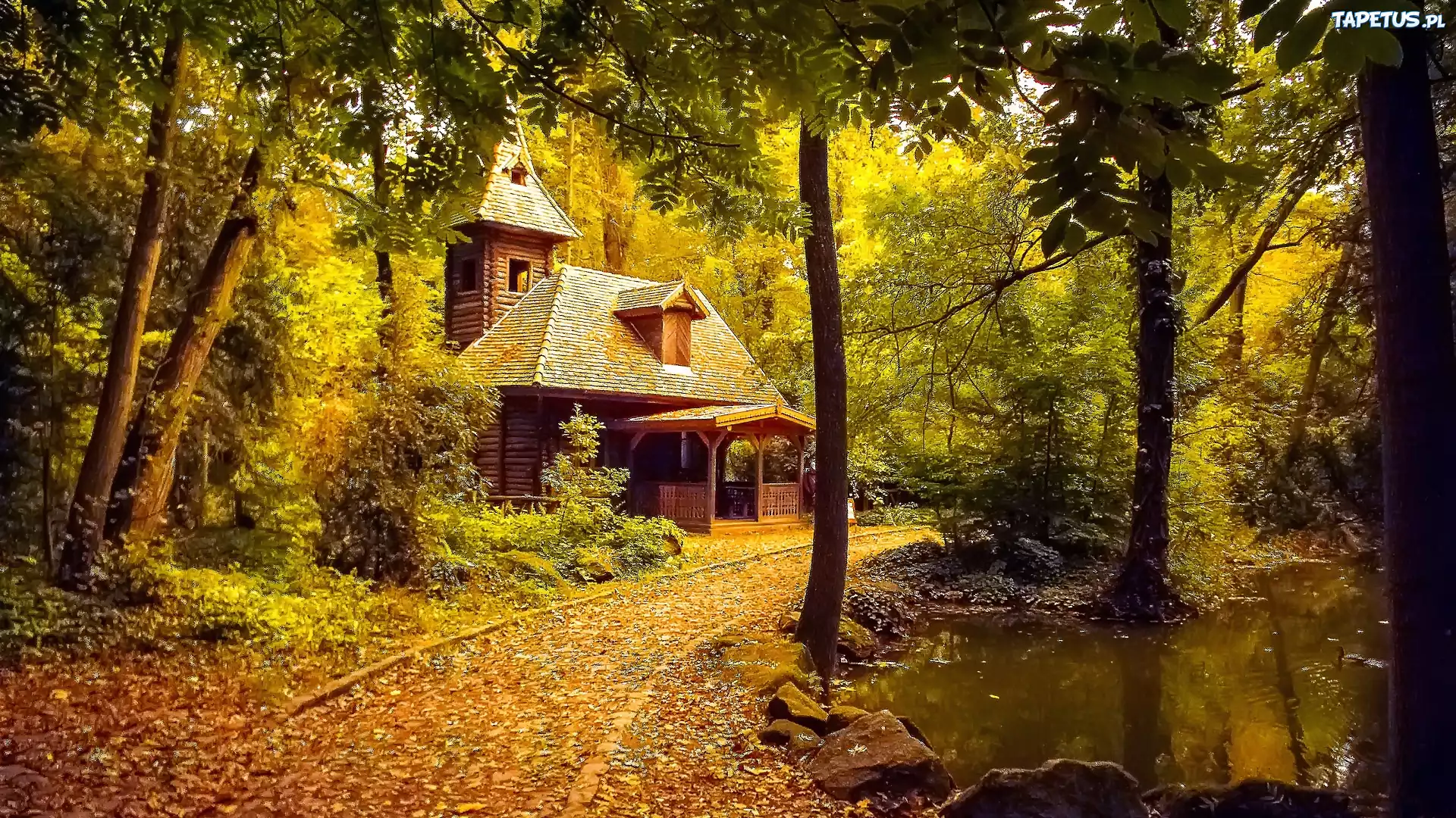 Jesień, Park, Staw, Drewniana, Budowla