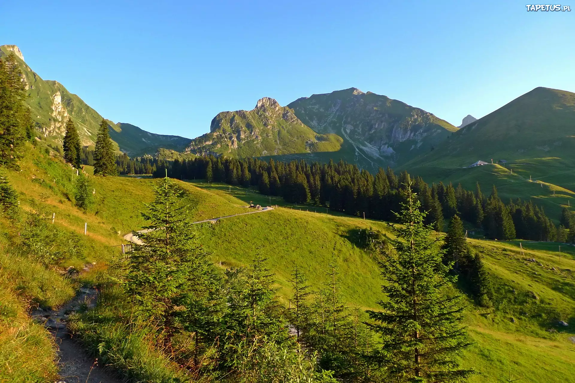 Бесплатный горный сайт. Горы. Швейцария горы. Парк природы Шарган-Мокра-гора. Природа Швейцарии самые красивые места картинки.