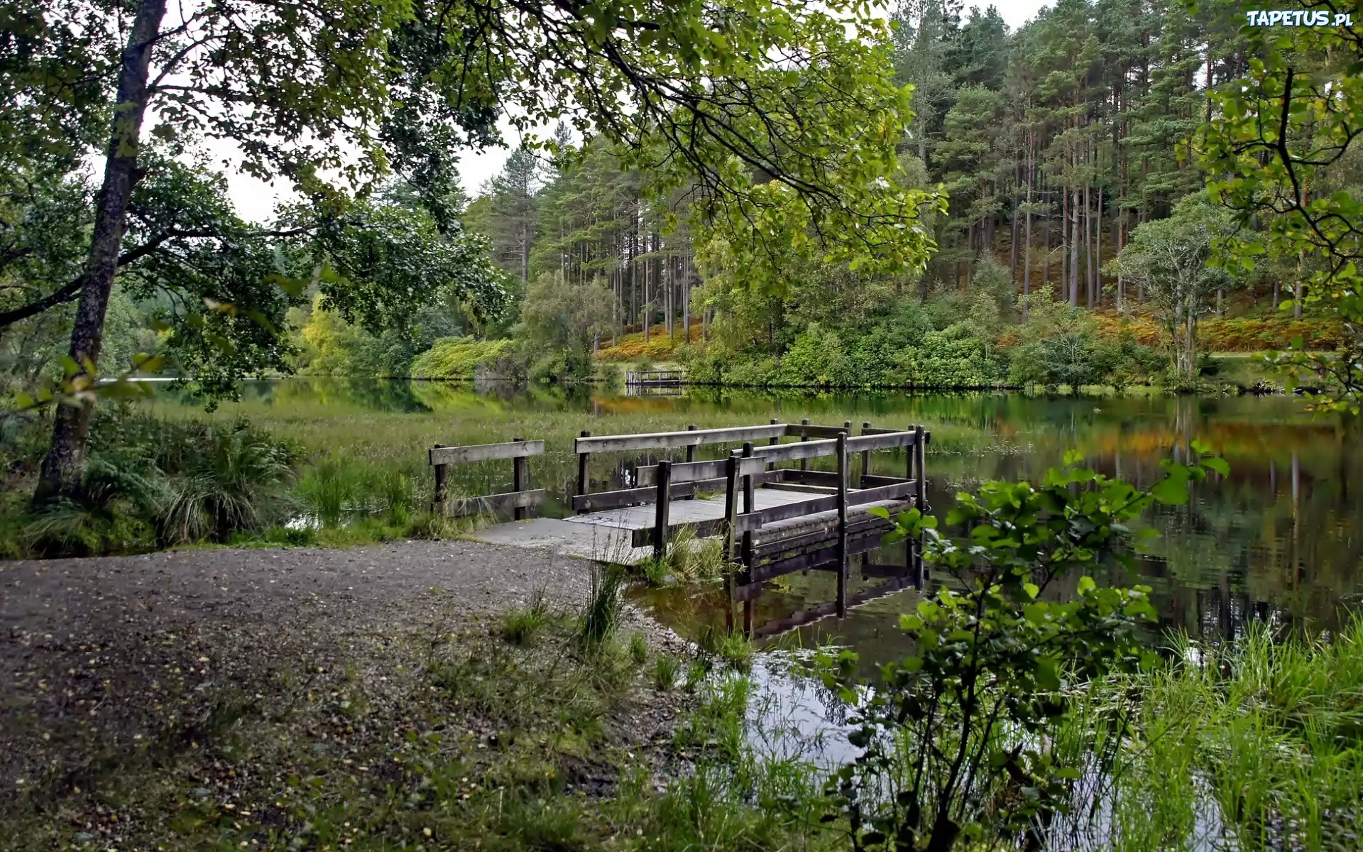 Las, Rzeka, Pomost