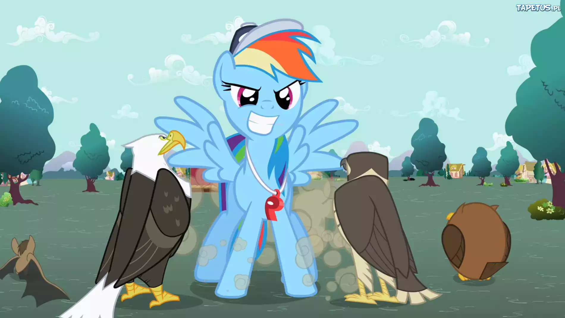 Rainbow Dash, Trener, Sowa, Orzeł