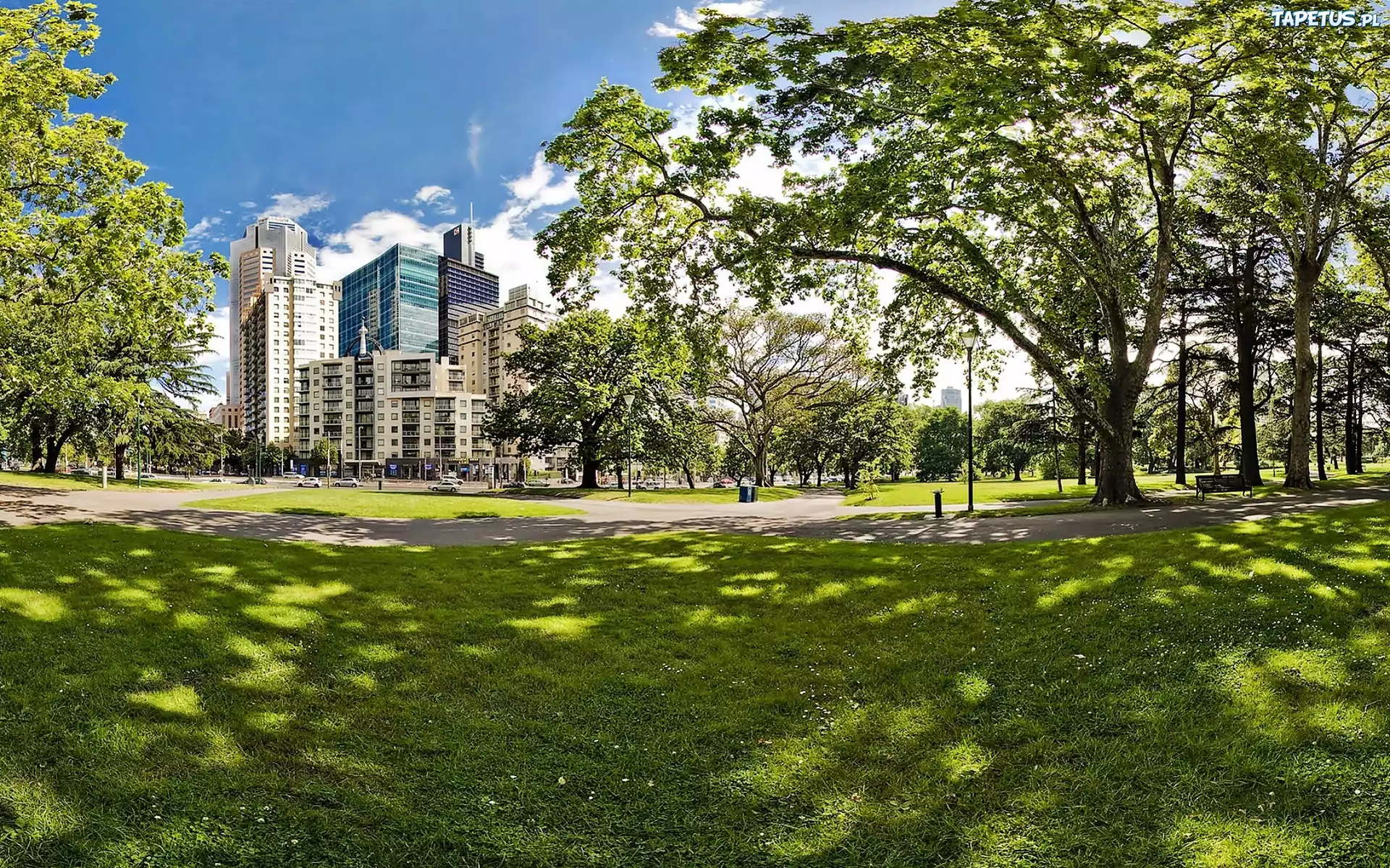 Drapacze, Chmur, Park, Carlton, Gardens, Przebijające, Światło,
Melbourne