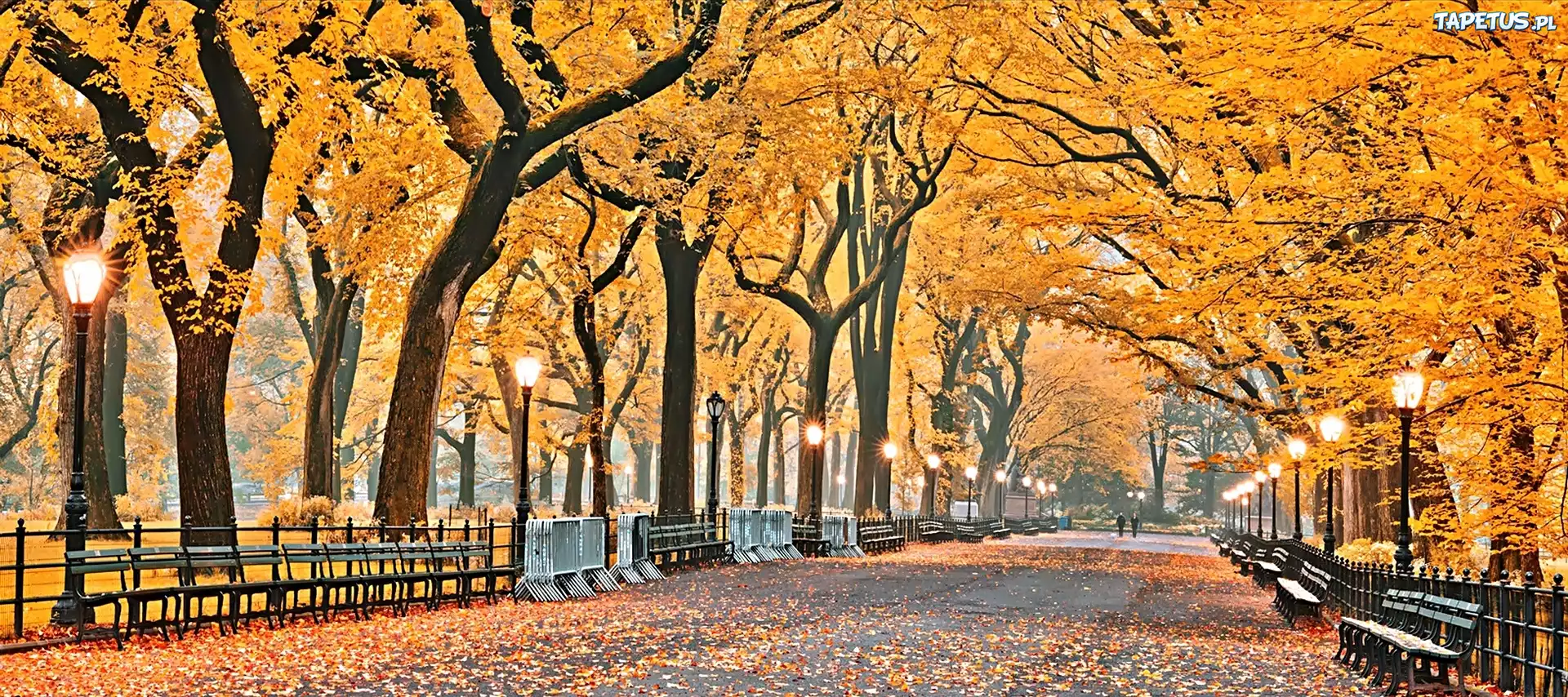 Jesień, Park, Latarnie