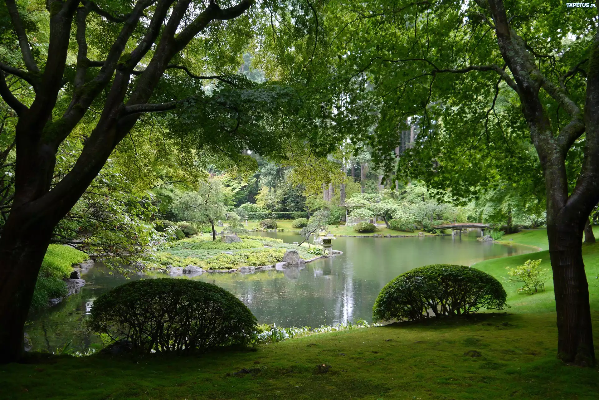 Park, Staw