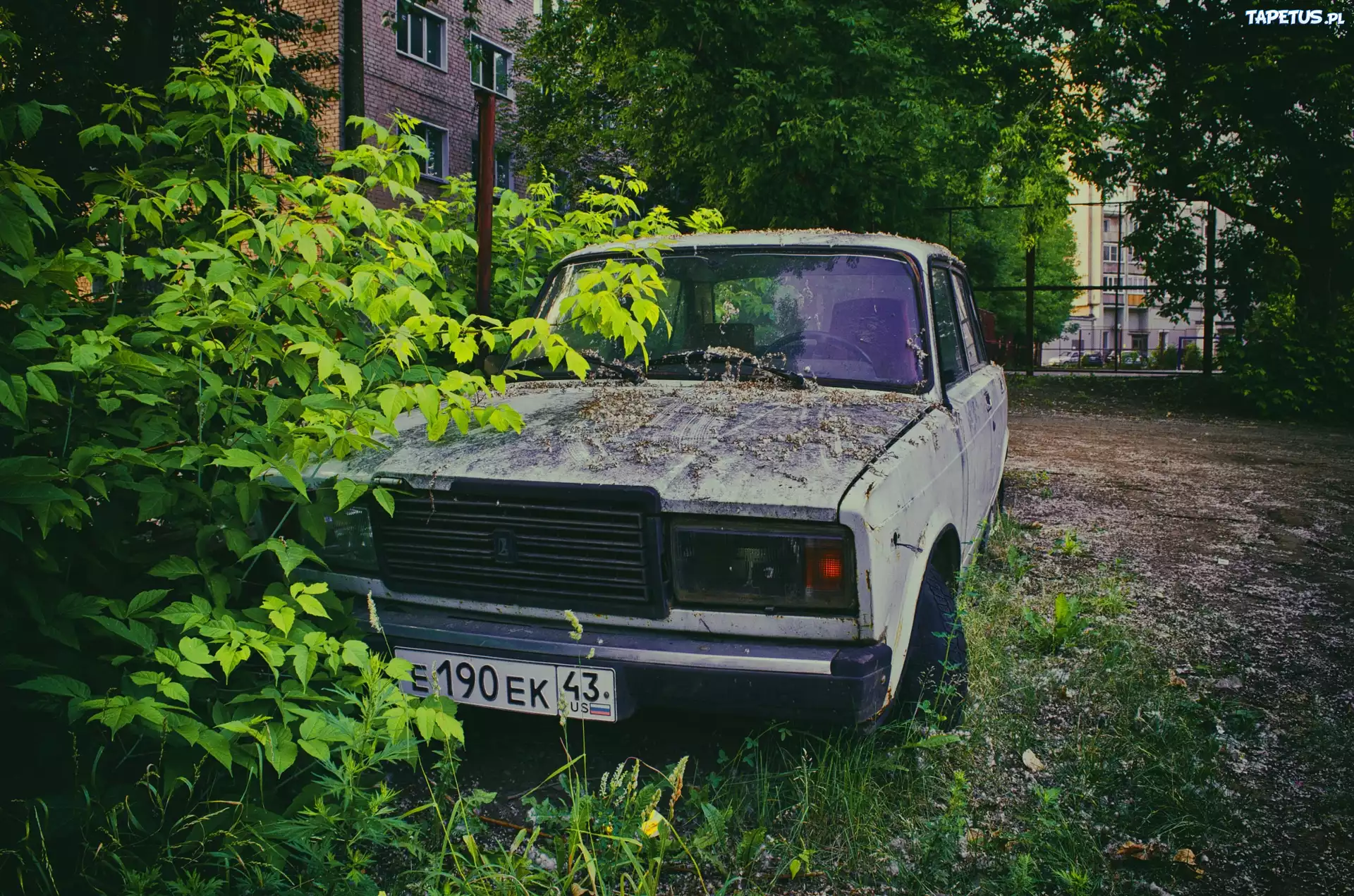 Samochód, Retro, Łada