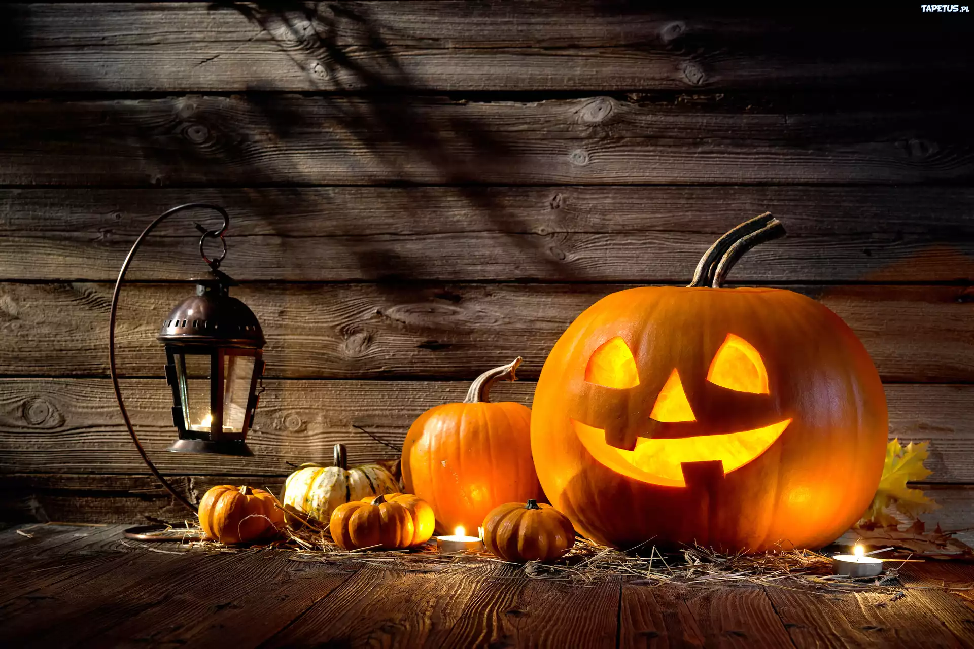 Dynie, Lampion, Halloween