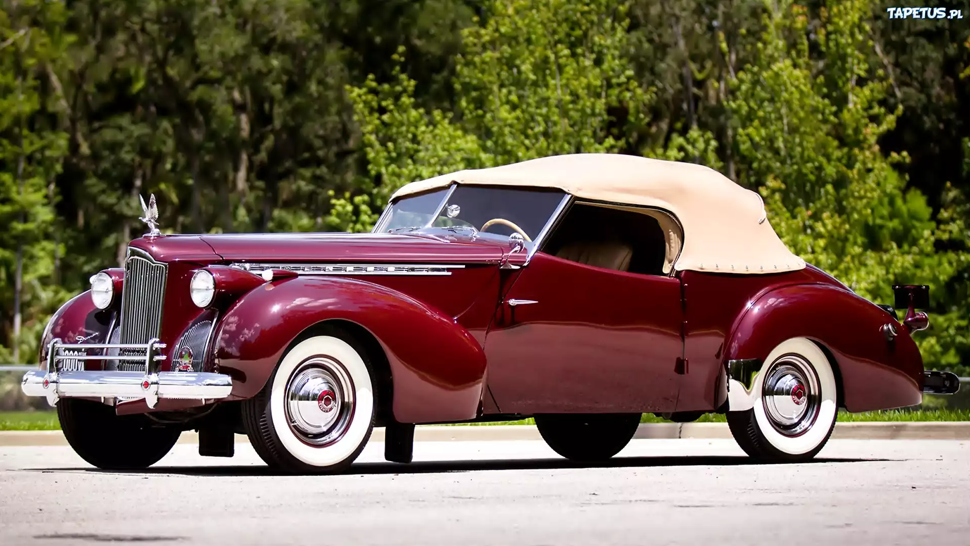 Samochód, Zabytkowy, Packard 180, 1941