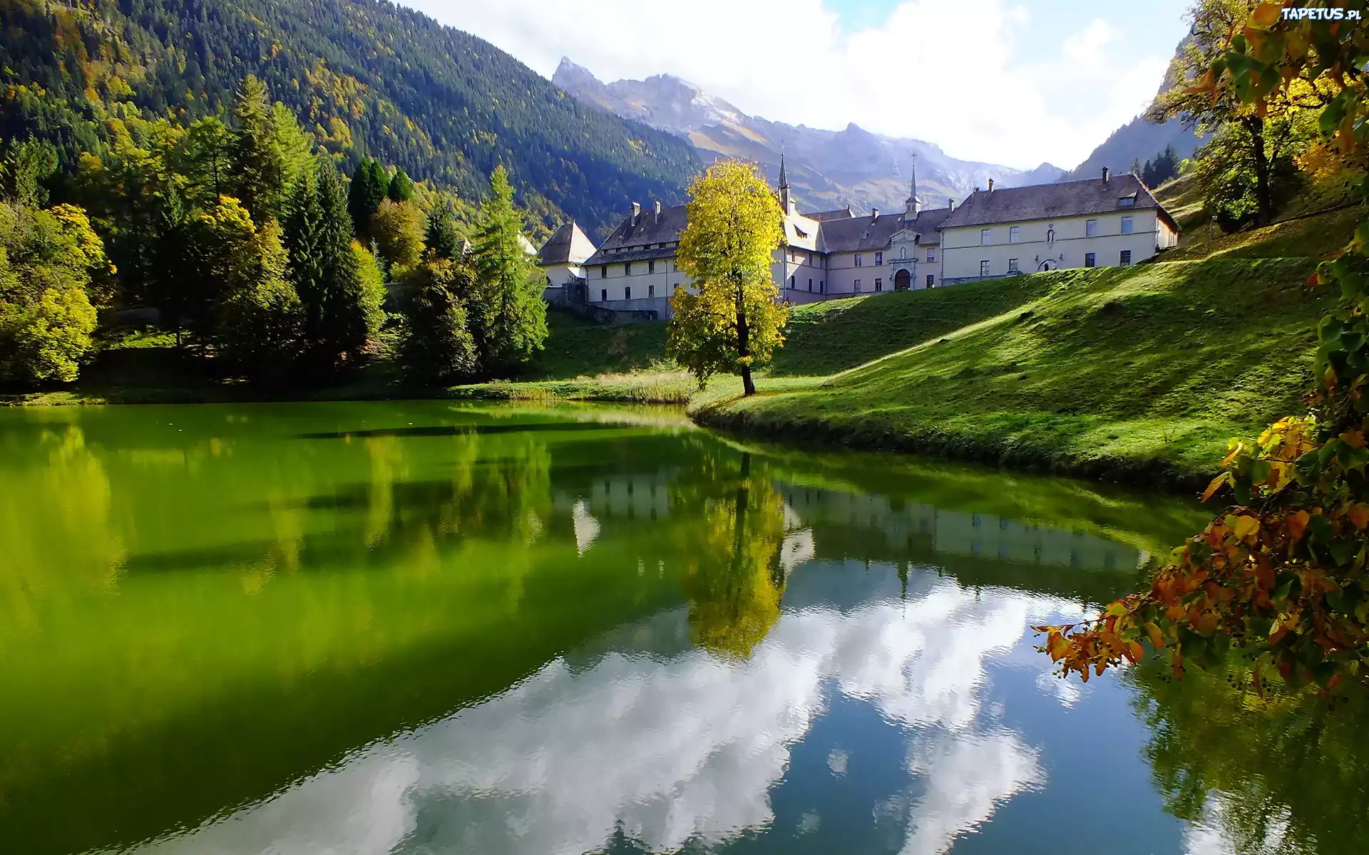 Francja, Jezioro, Zamek, Las