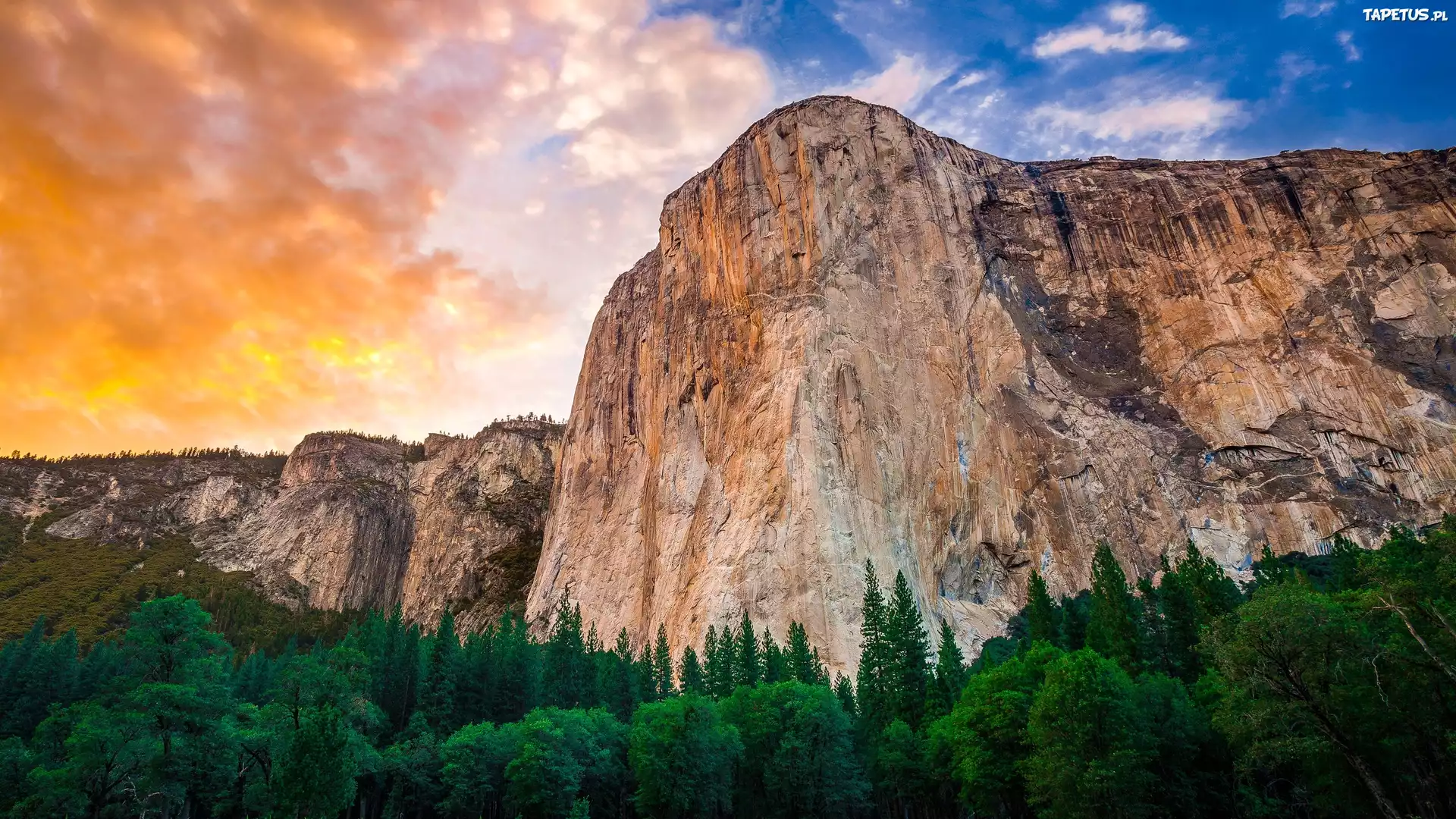 Park, Narodowy, Yosemite, Góry, Niebo, Las
