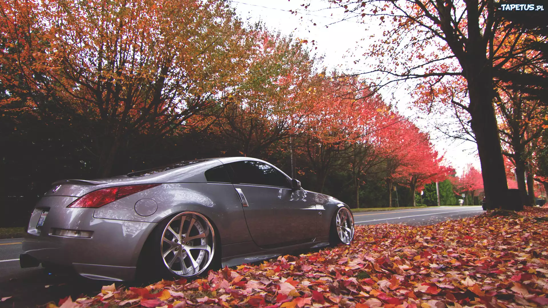 Jesień, Droga, Nissan, 350Z