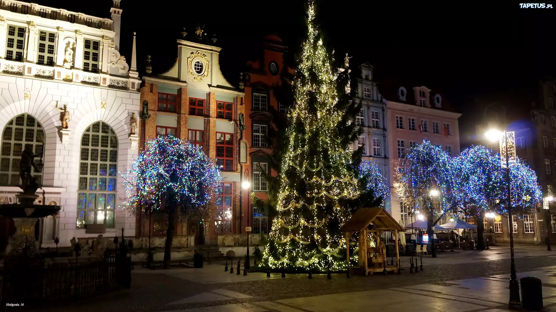 Polska, Gdańsk, Noc, Choinka, Świąteczne, Drzewa