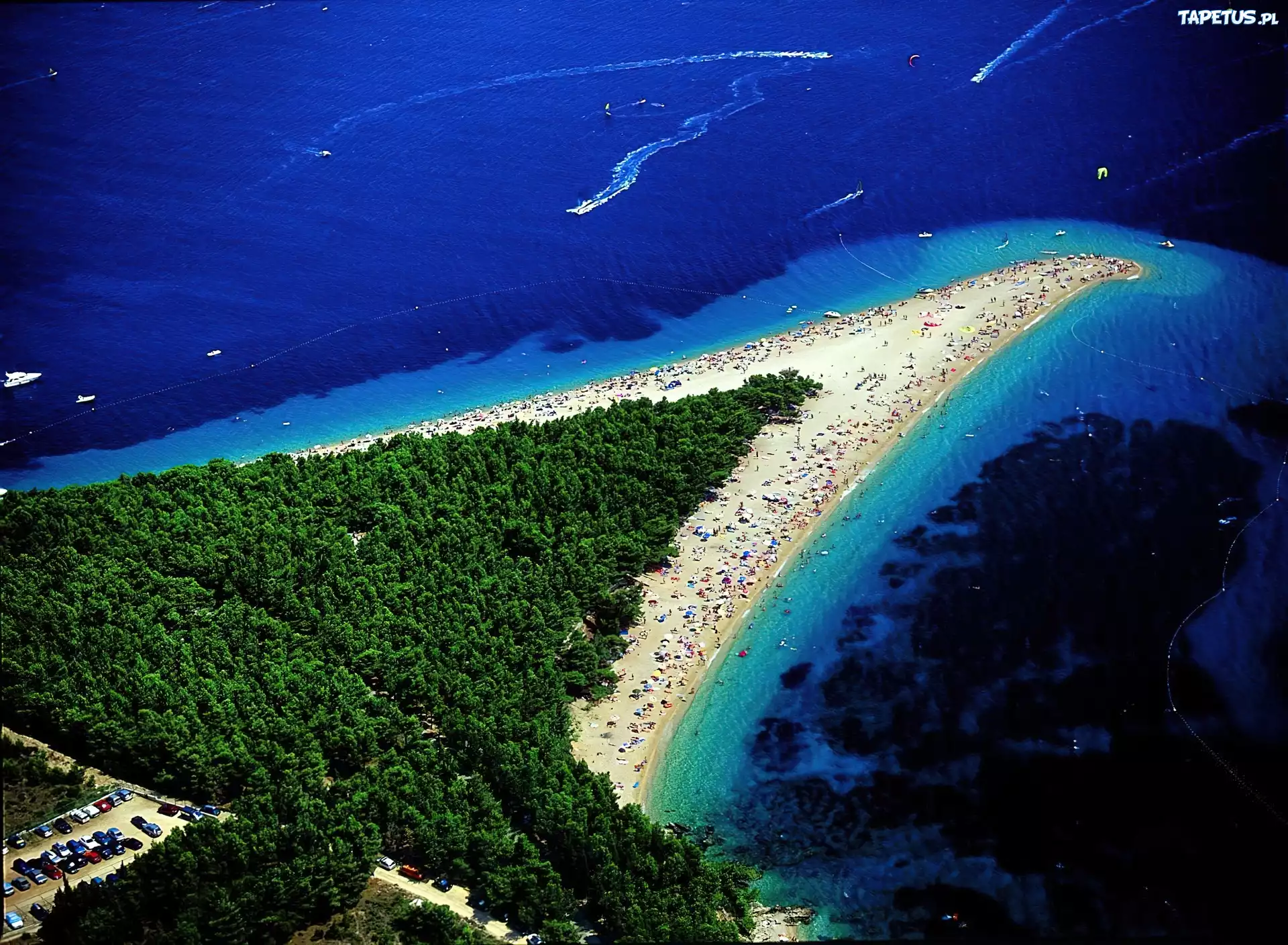Morze, Plaża, Las, Włochy