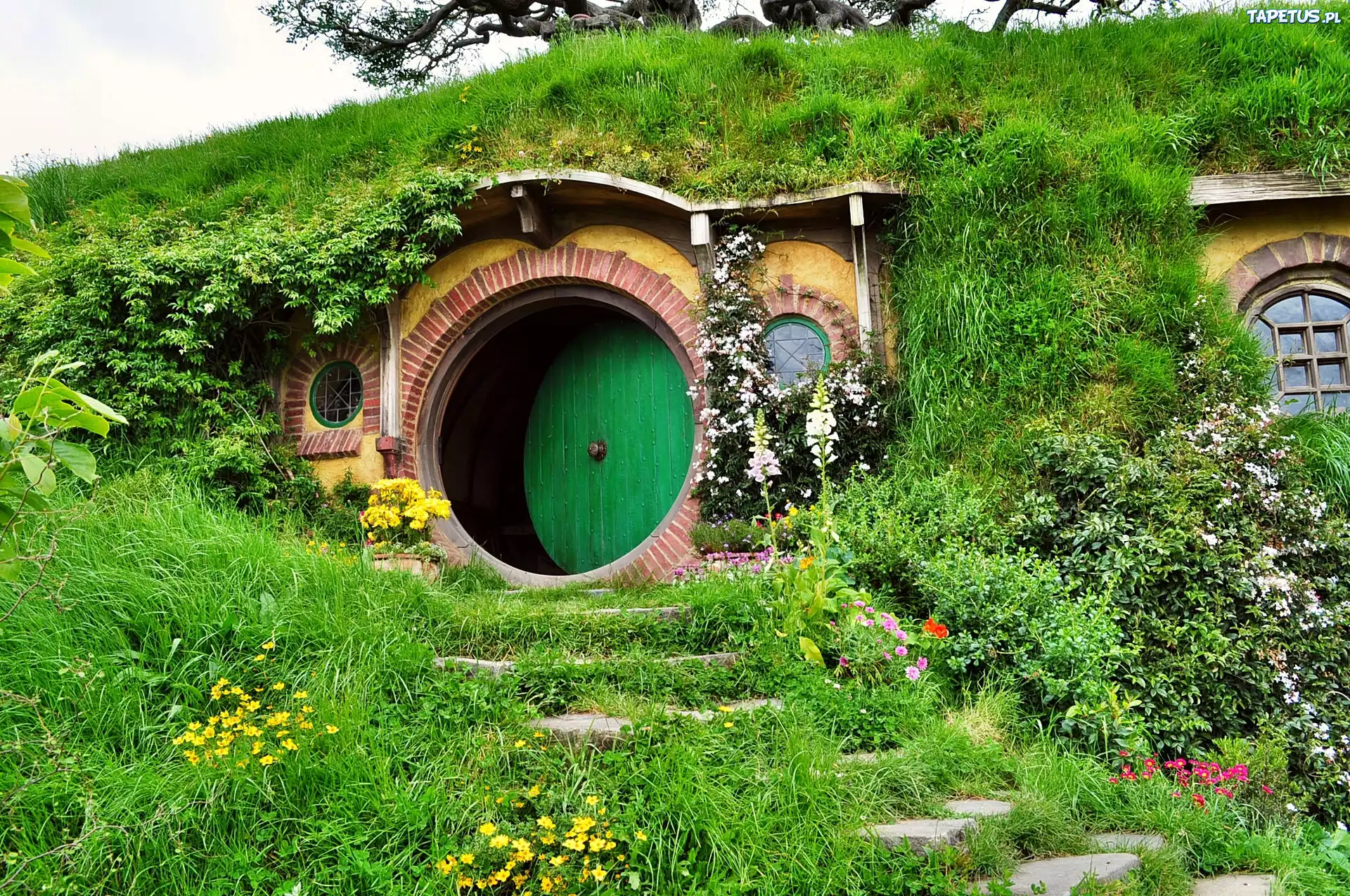 Domek Hobbit, Ogródek, Nowa Zelandia
