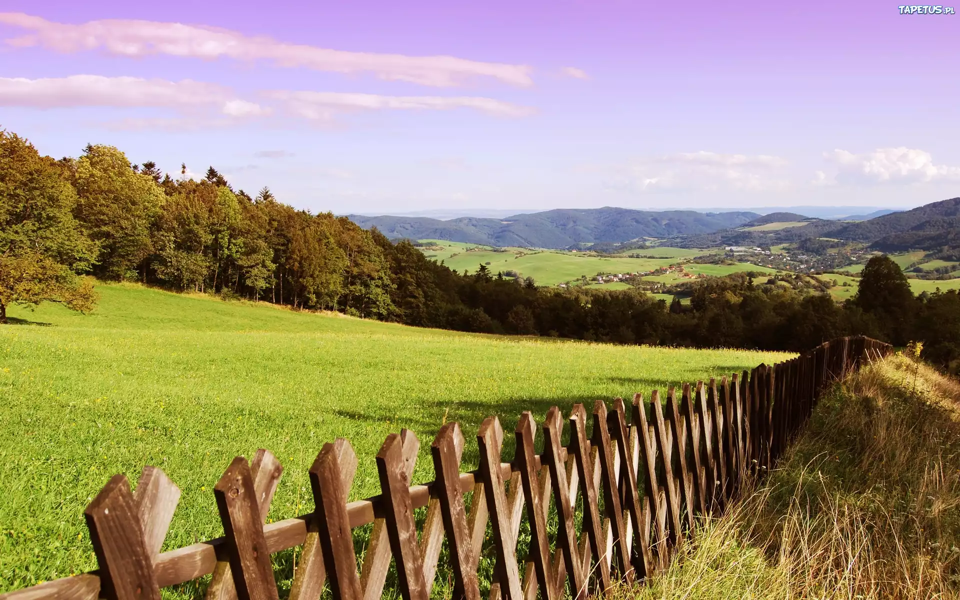 Góry, Las, Łąka, Płot