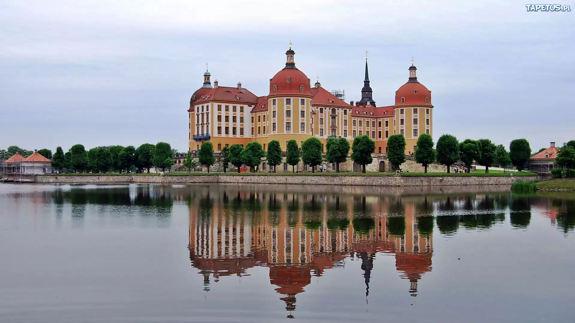 Moritzburg, Jezioro, Zamek, Na Wodzie, Drzewa, Odbicie