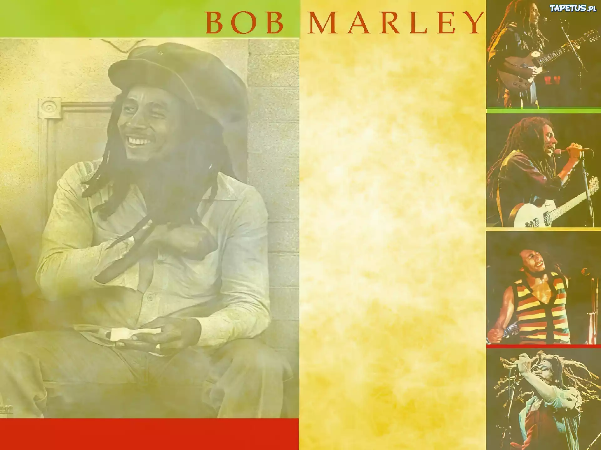 Bob Marley, Gitara, Mikrofon