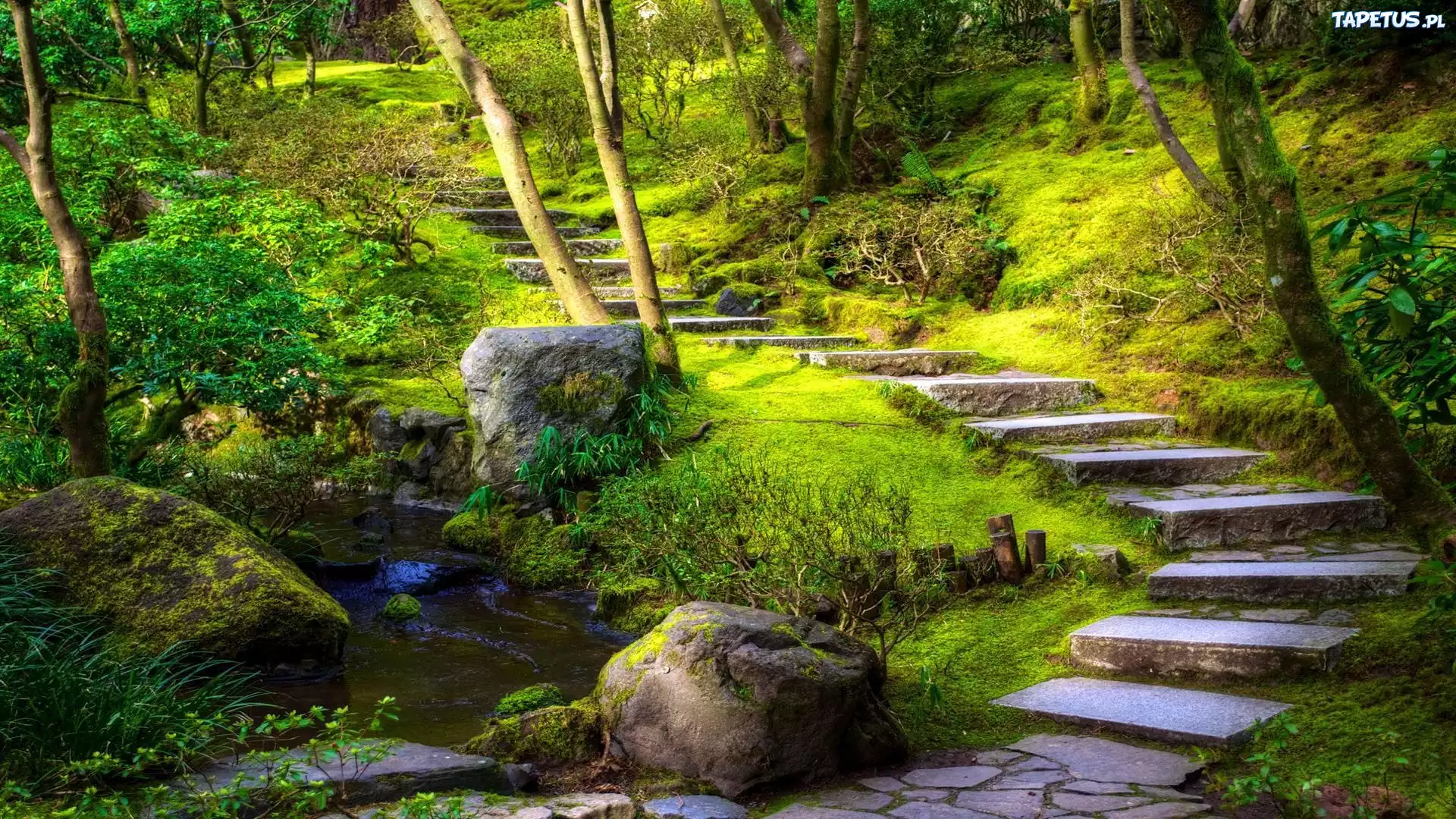 Park, Strumień, Schody, Portland, Oregon, USA
