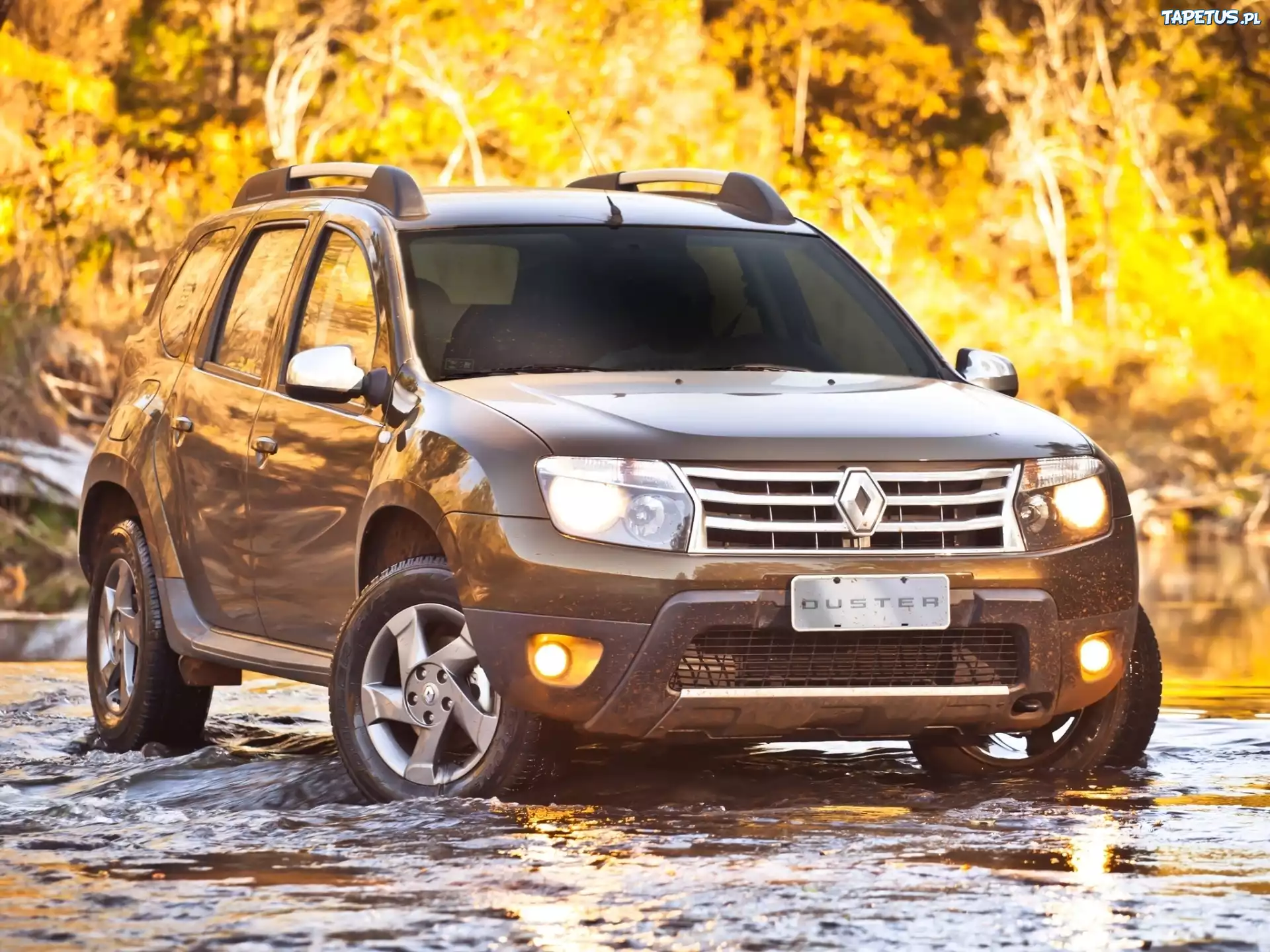 Renault, Samochód, Duster