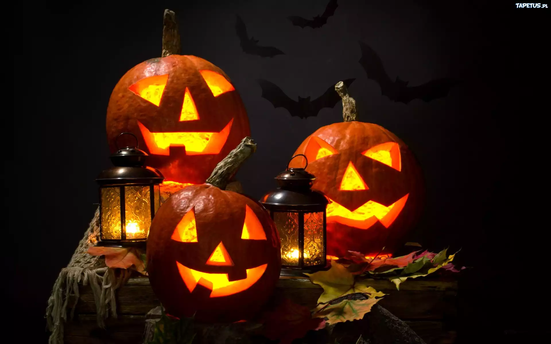 Halloween, Dynie, Lampy
