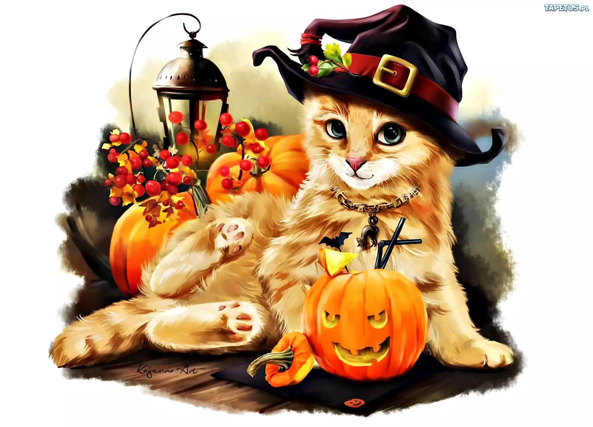 Kotek, Jesień, Halloween, Grafika