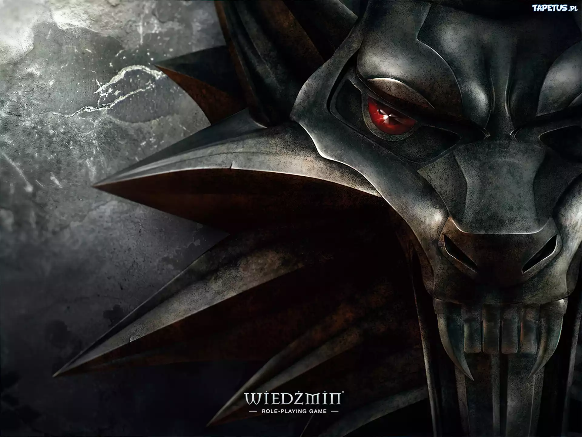The Witcher, amulet