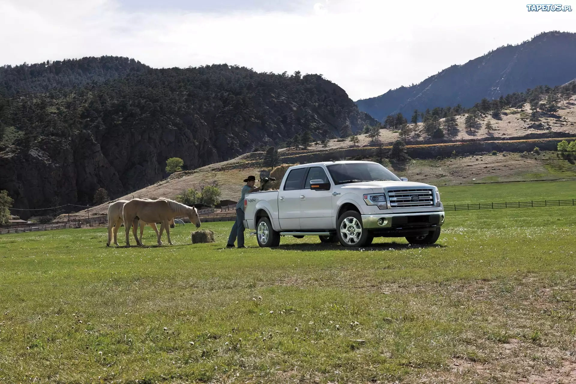 Ford F-150, King Ranch