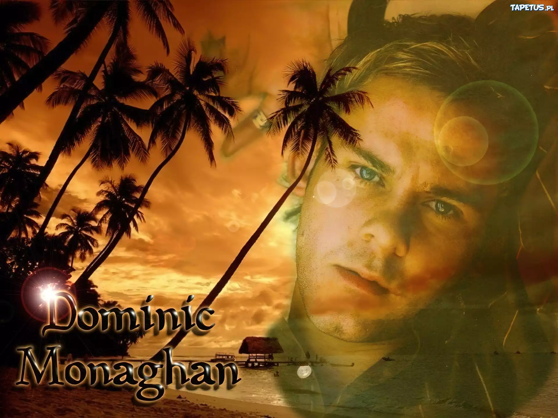 Dominic Monaghan,palmy, plaża