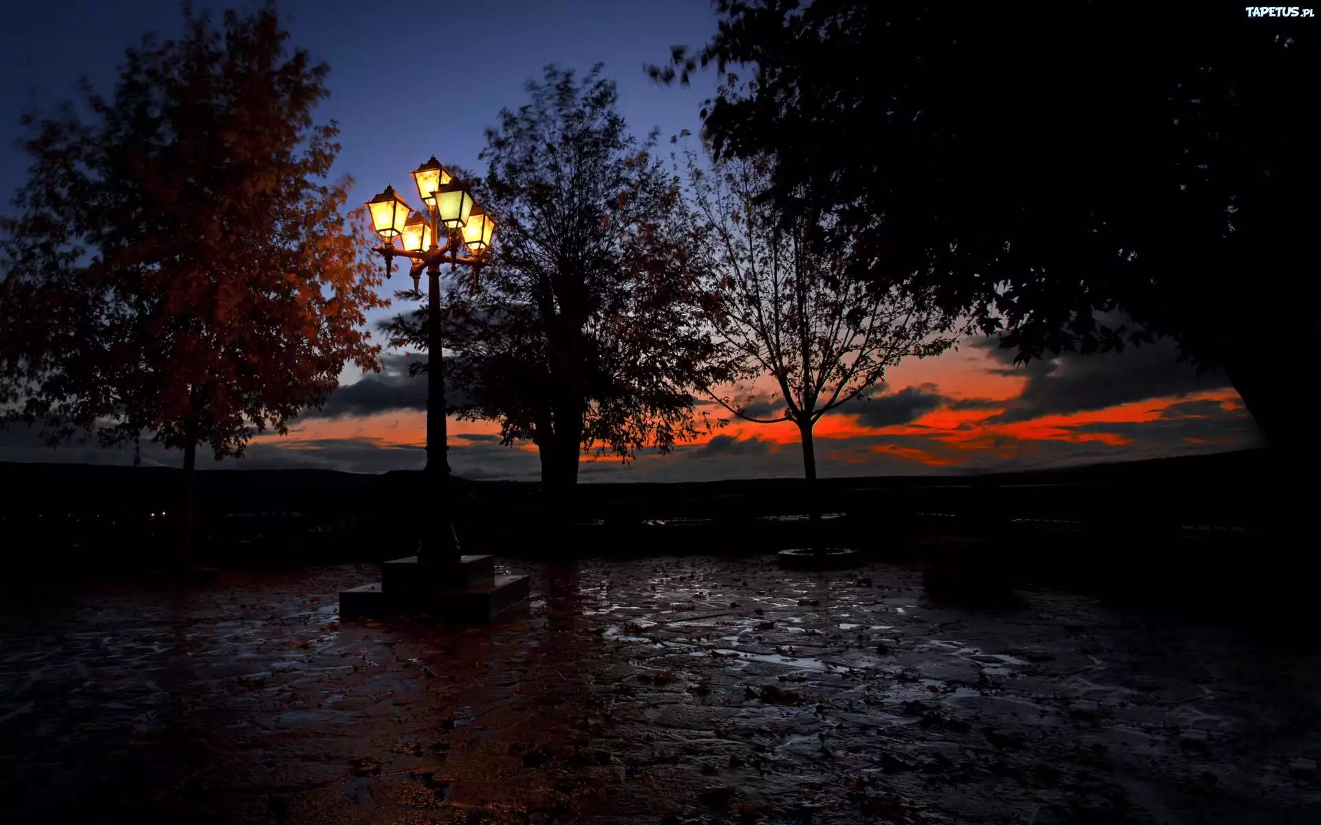Park, Latarnia, Drzewa
